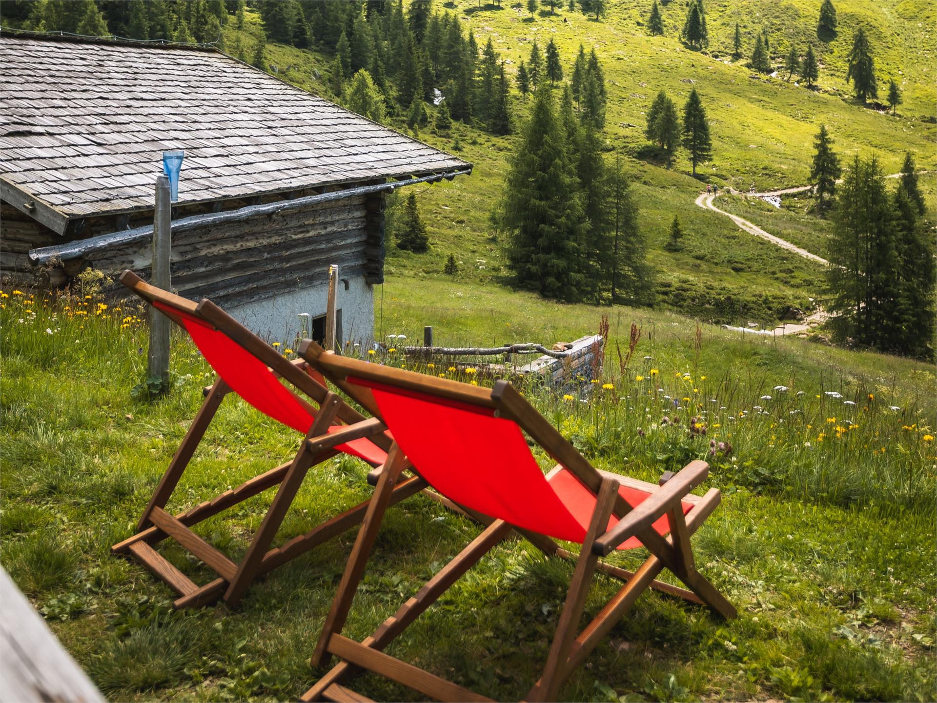 Hintereggalm - mountain hut Schenna/Scena 3 suedtirol.info