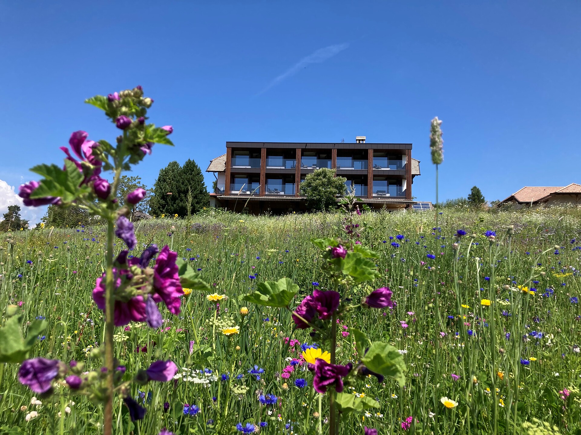 Hotel Naturidylle Geyrerhof ®