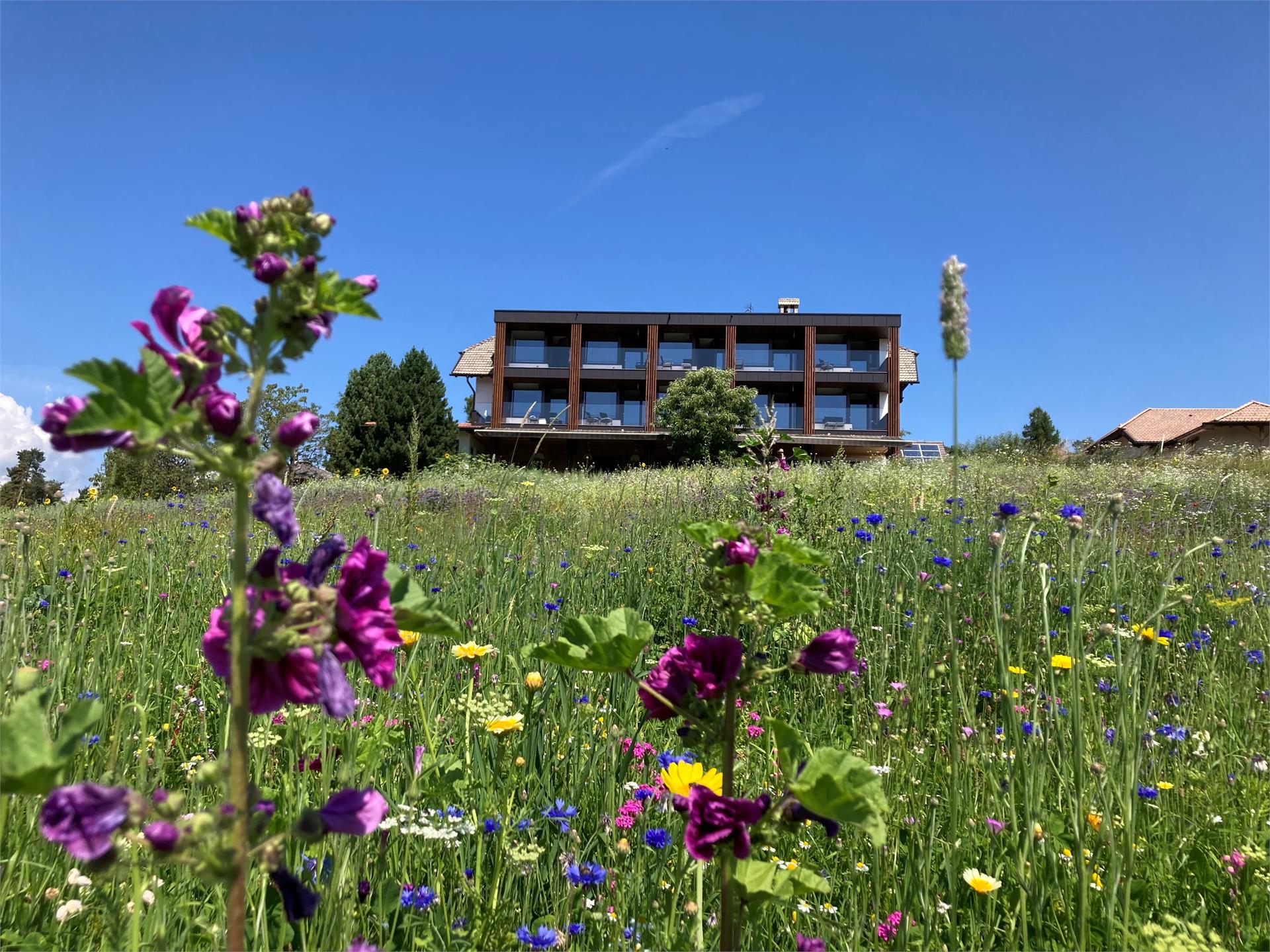 Hotel Naturidylle Geyrerhof Ritten 1 suedtirol.info