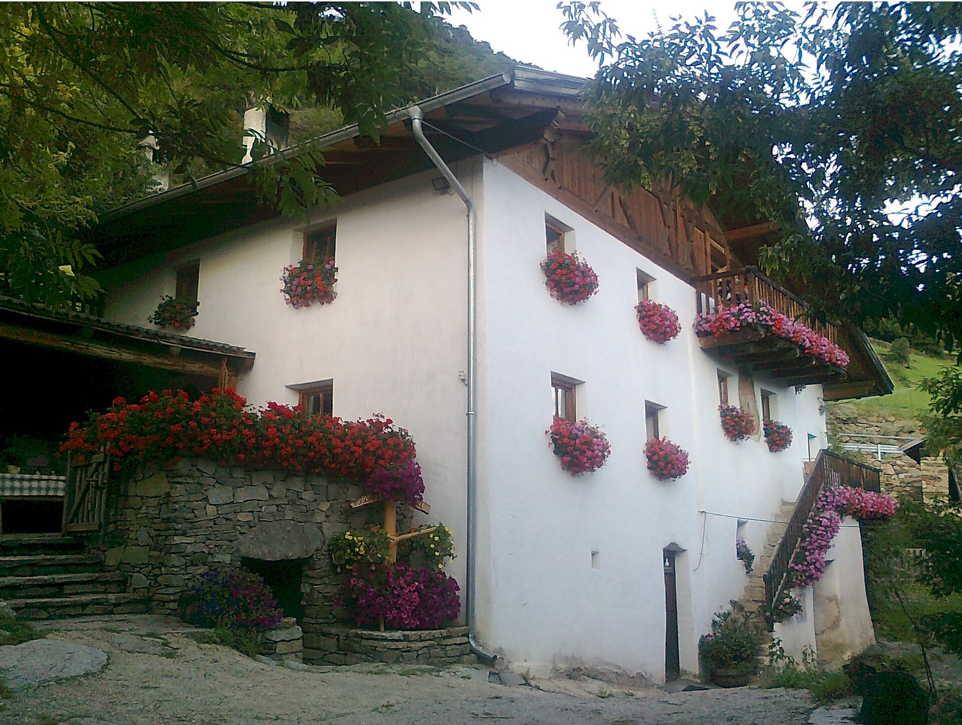 Hofschank Oberratschill