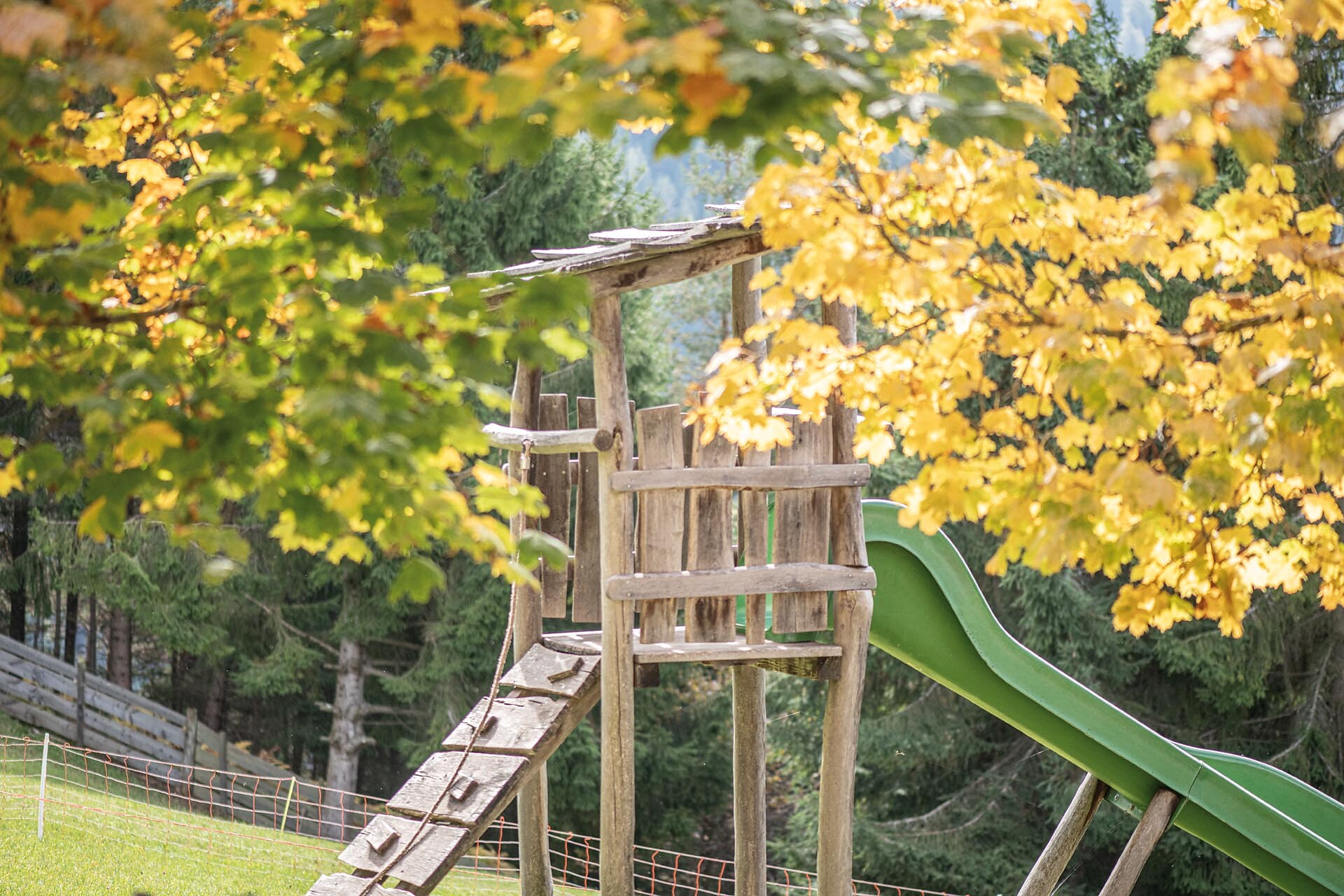 Hofer Alpl - Dolomites Region Seiser Alm - #15 - suedtirol.info