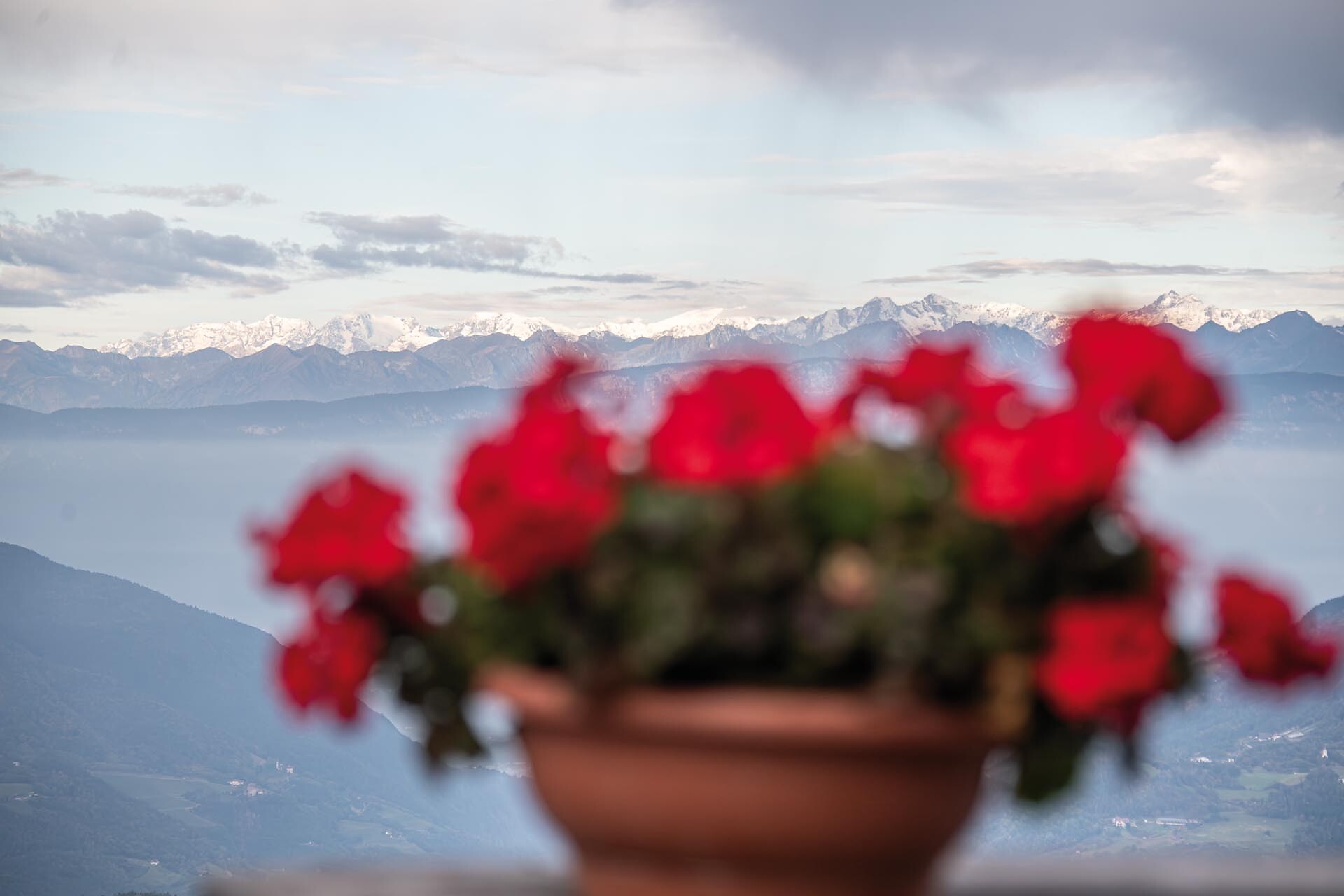 Hofer Alpl - Dolomites Region Seiser Alm - #3 - suedtirol.info