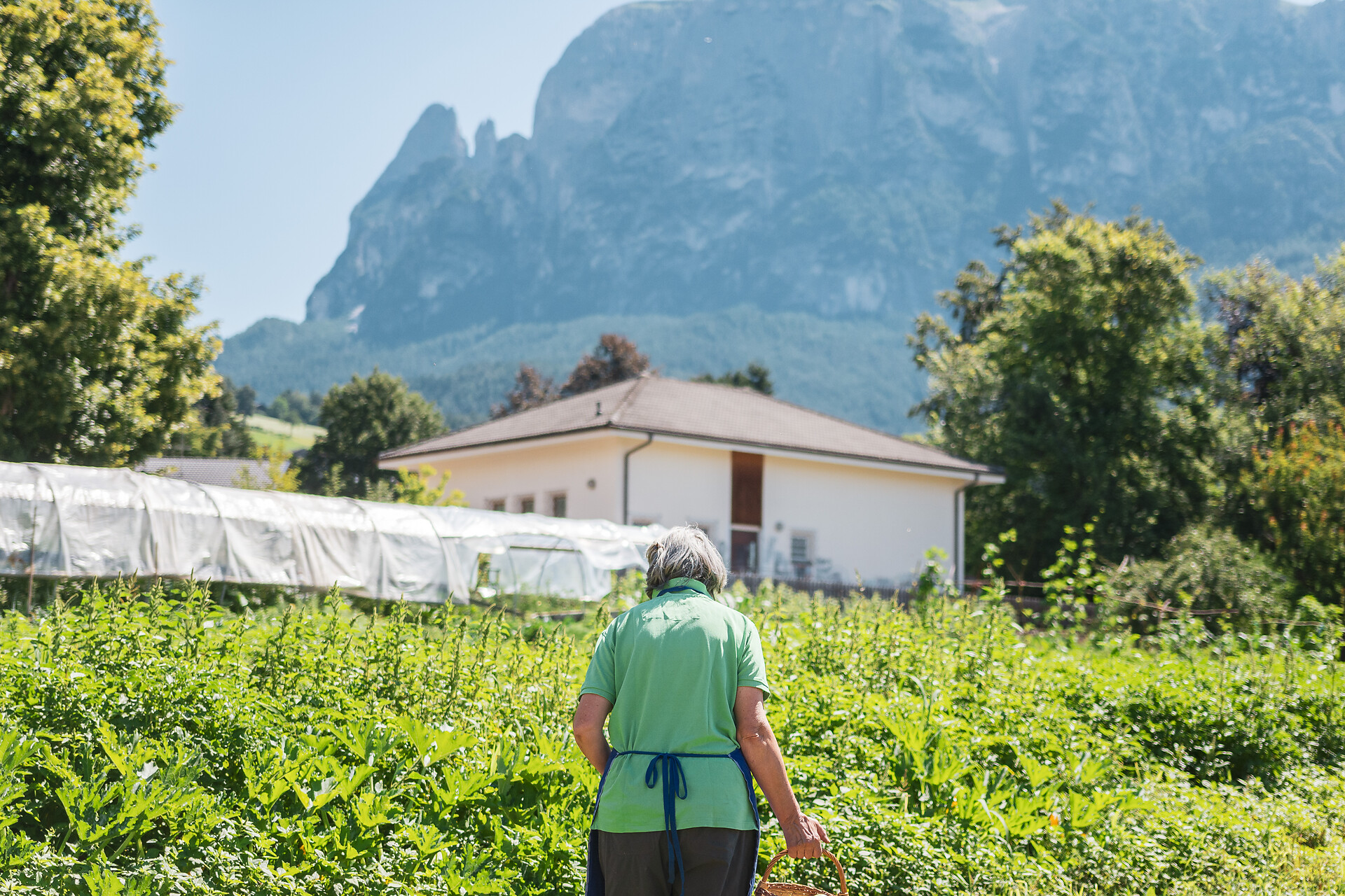 Maso Huber Völs am Schlern/Fiè allo Sciliar 11 suedtirol.info