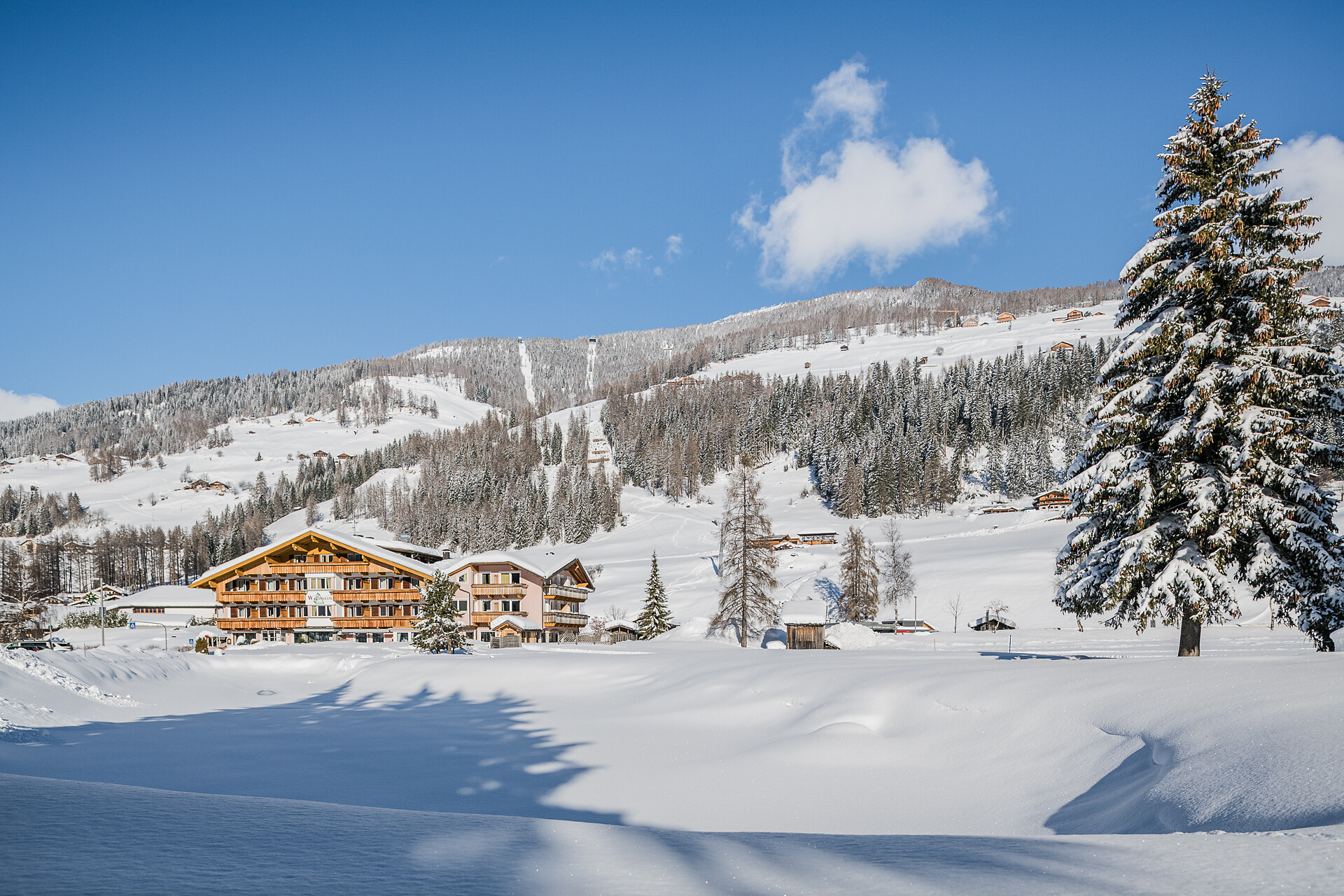 Bistro Waldheim - Regione dolomitica 3 Cime - #3 - suedtirol.info