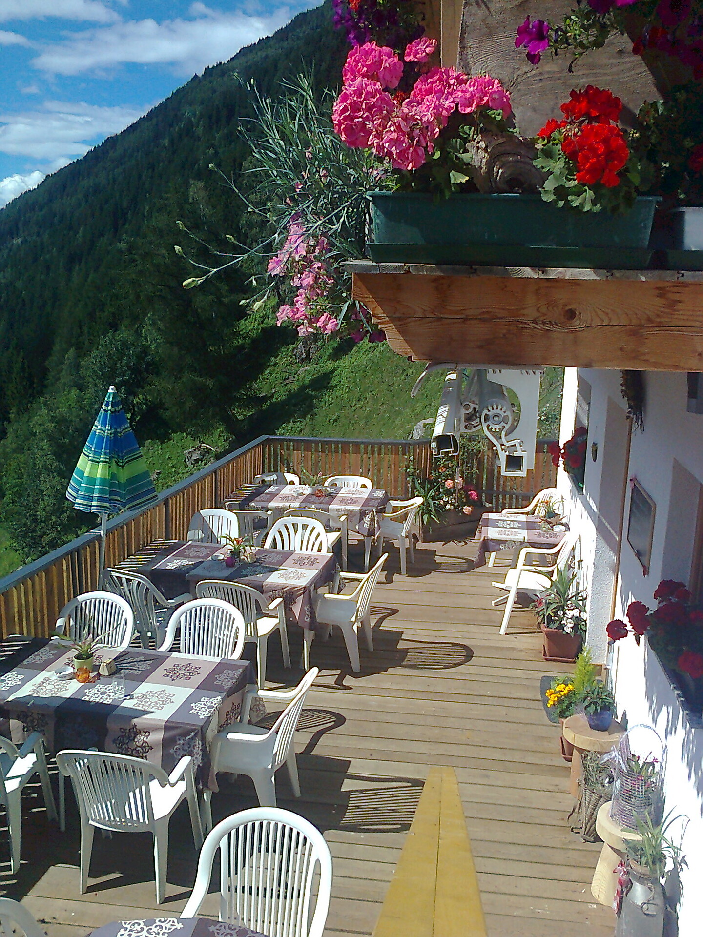 Farm inn Alpenland