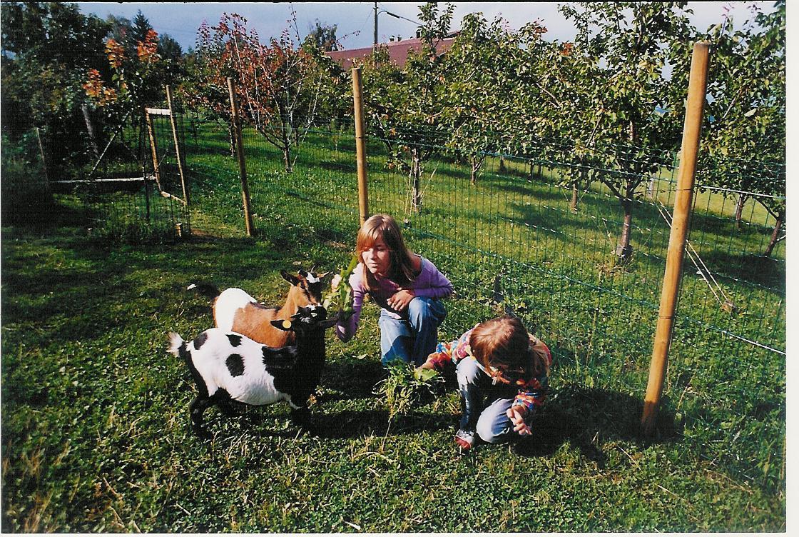Agritur Larcher Aldein/Aldino 2 suedtirol.info