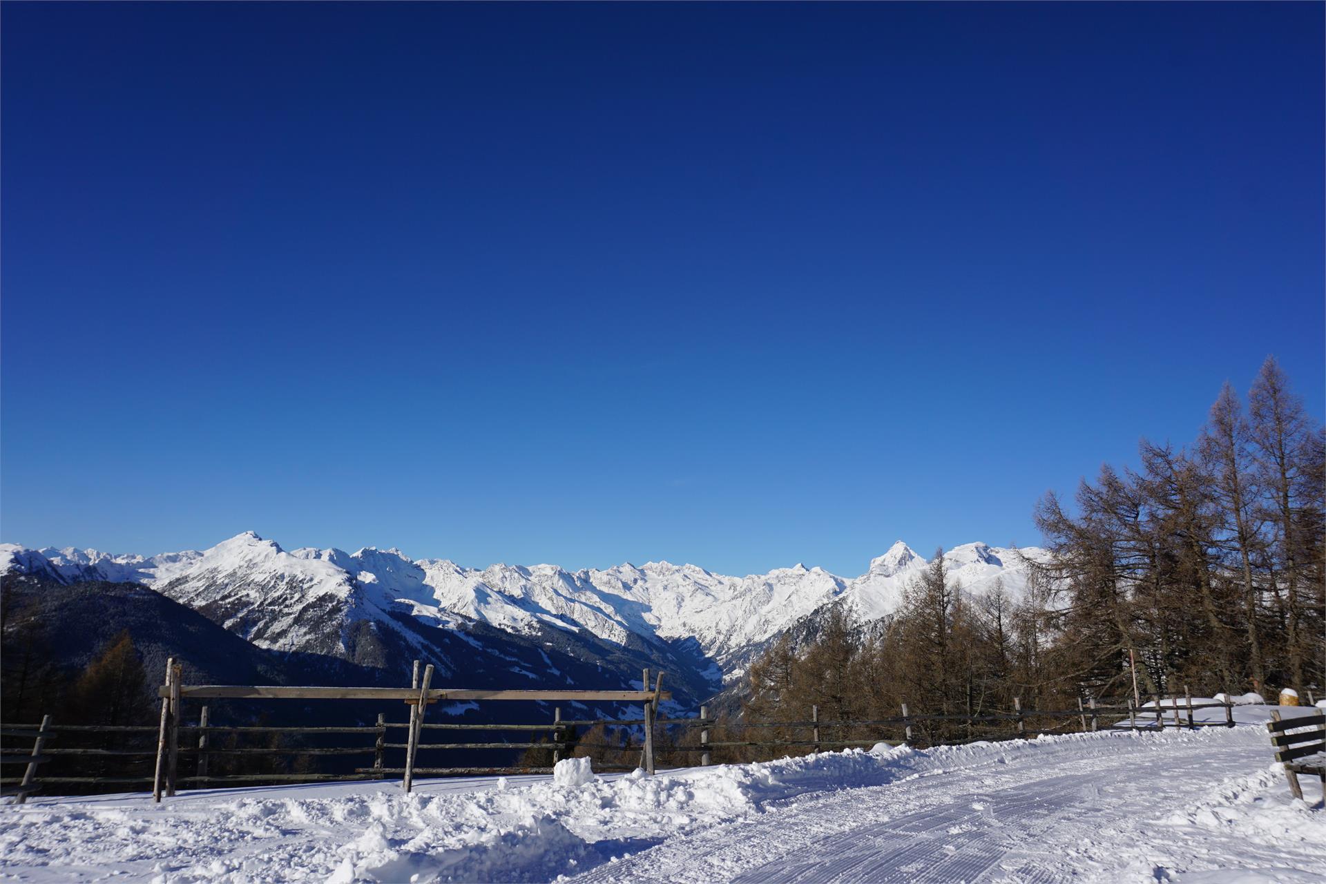 Hühnerspielhütte Brenner 4 suedtirol.info