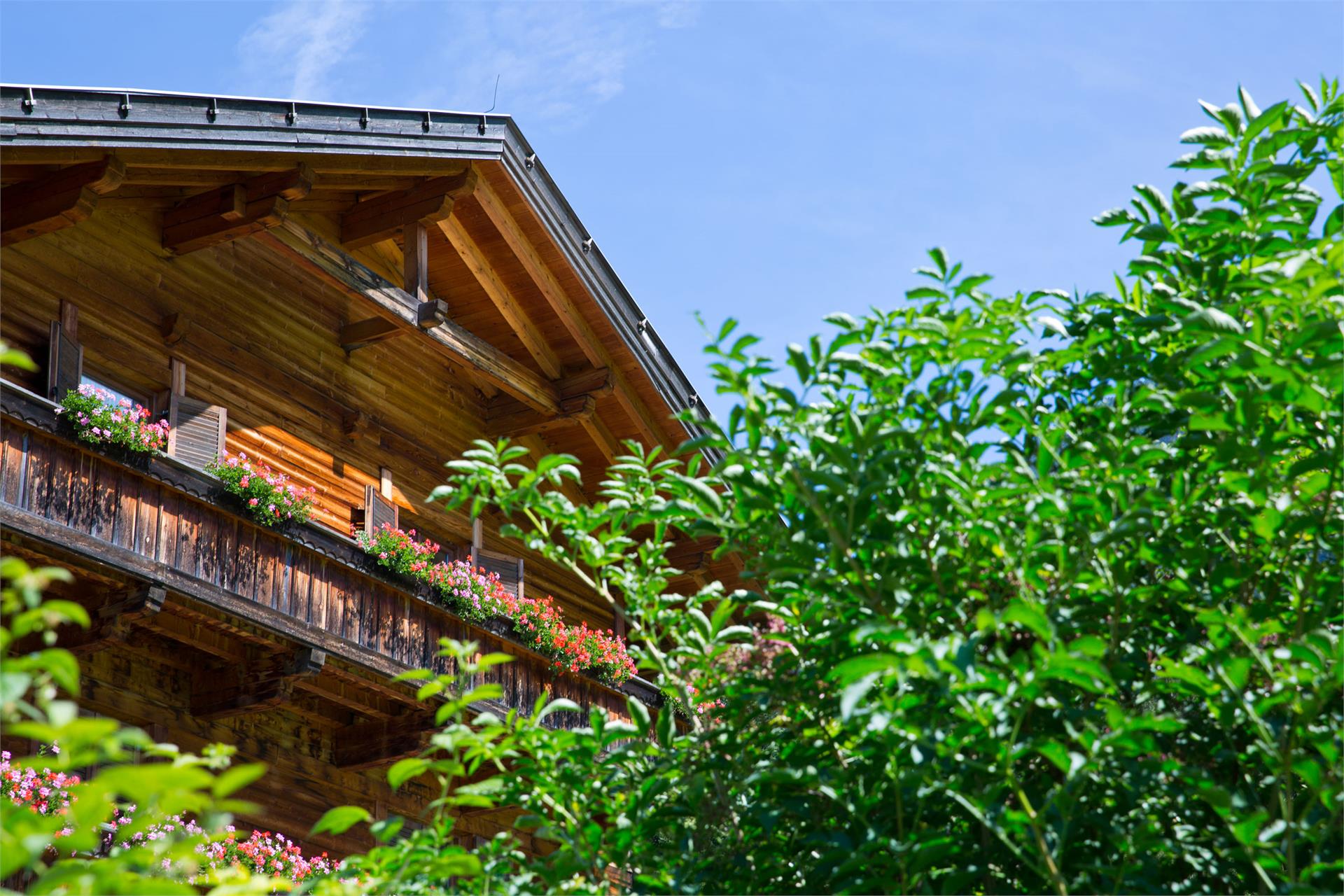 Hotel Waldruhe Gsies 6 suedtirol.info
