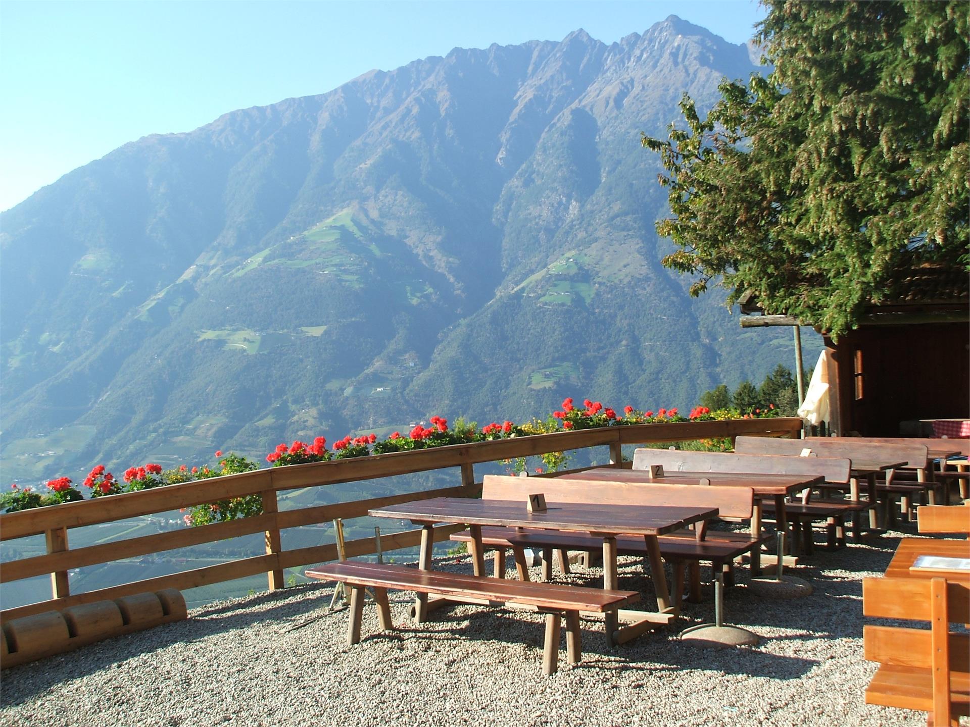 Hofschank Brandhof Naturns 2 suedtirol.info