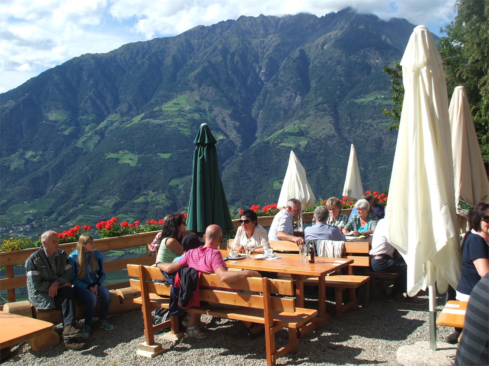 Hofschank Brandhof Naturns 9 suedtirol.info