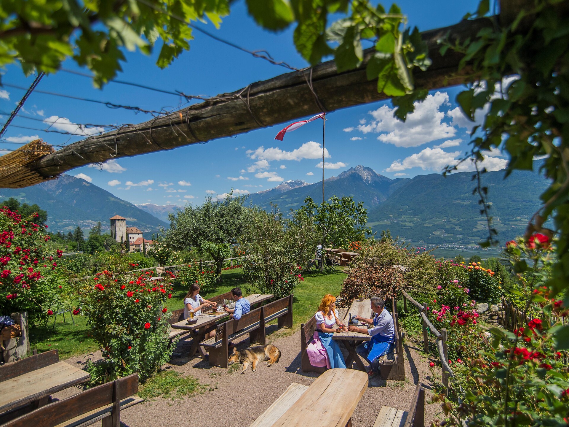 Haidenhof - Meran und Umgebung - #1 - suedtirol.info