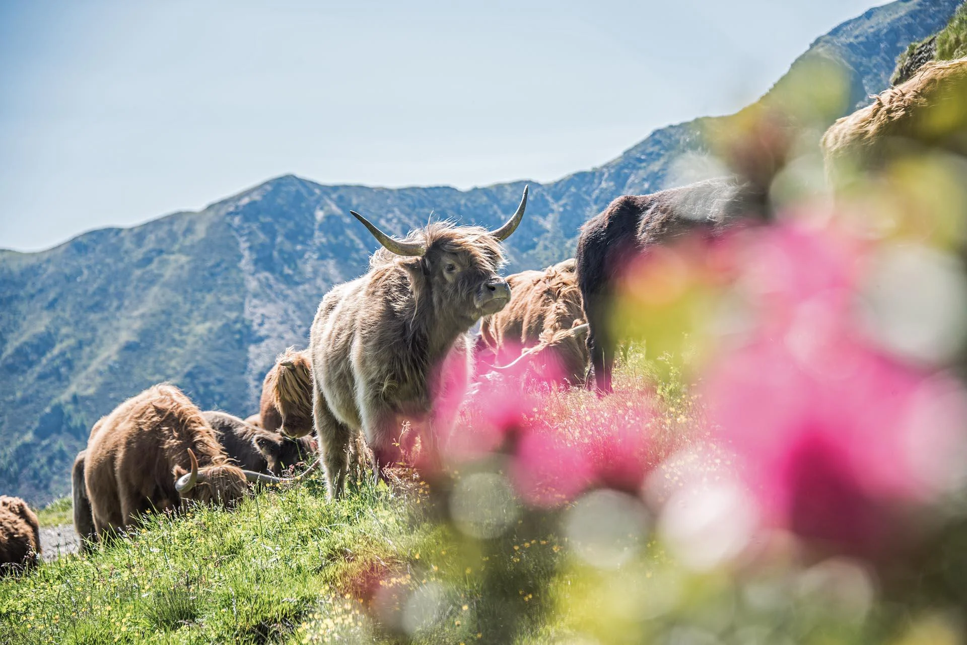Osteria Arche Stube Hochzirm Campo Tures 5 suedtirol.info