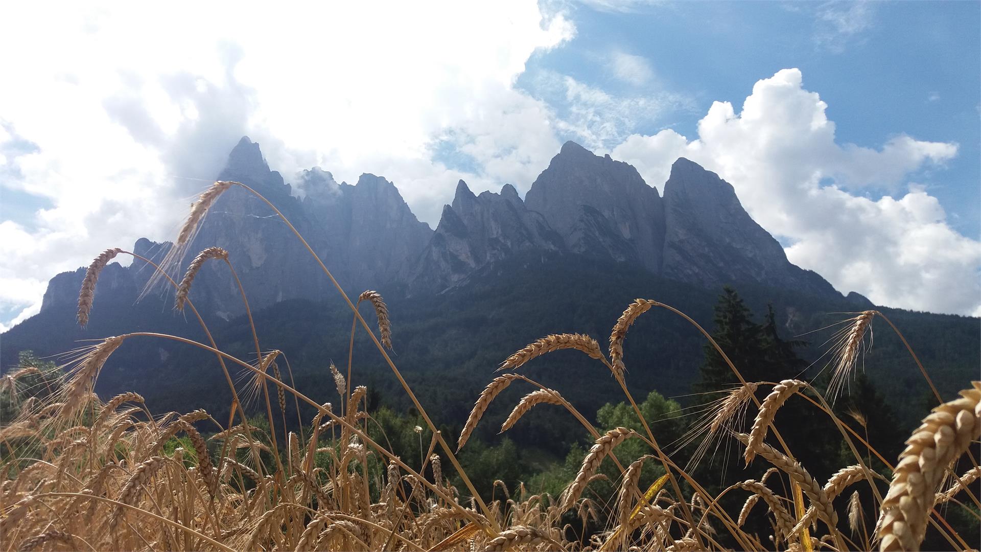 Farm Inn Malenger Mill Kastelruth/Castelrotto 2 suedtirol.info
