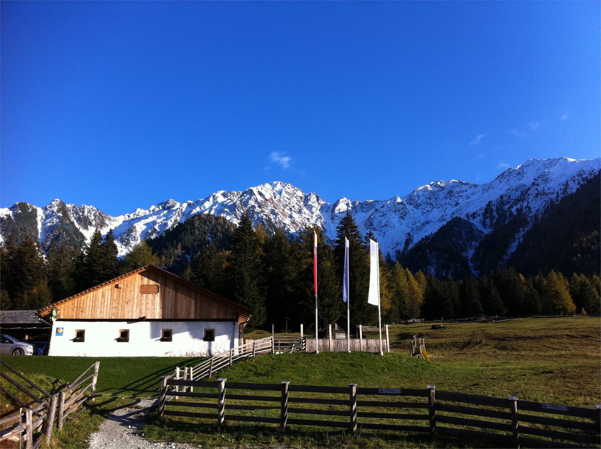 Huberalm Rasen-Antholz/Rasun Anterselva 2 suedtirol.info