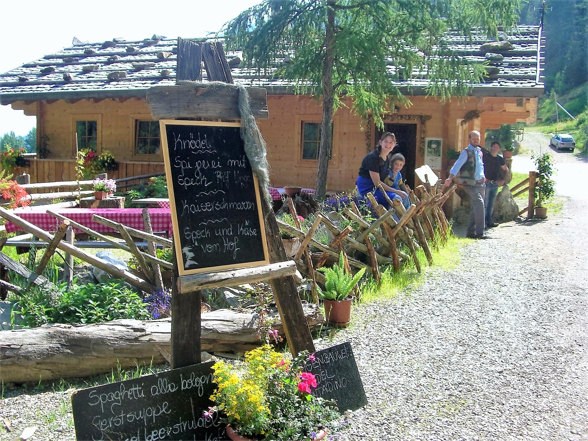 Hofschank bei den Urlärchen Ulten 1 suedtirol.info