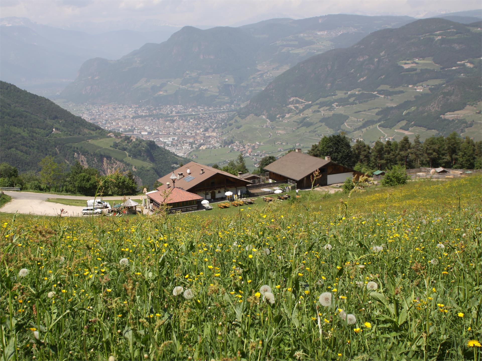 Farm Wiedenhof Karneid/Cornedo all'Isarco 1 suedtirol.info