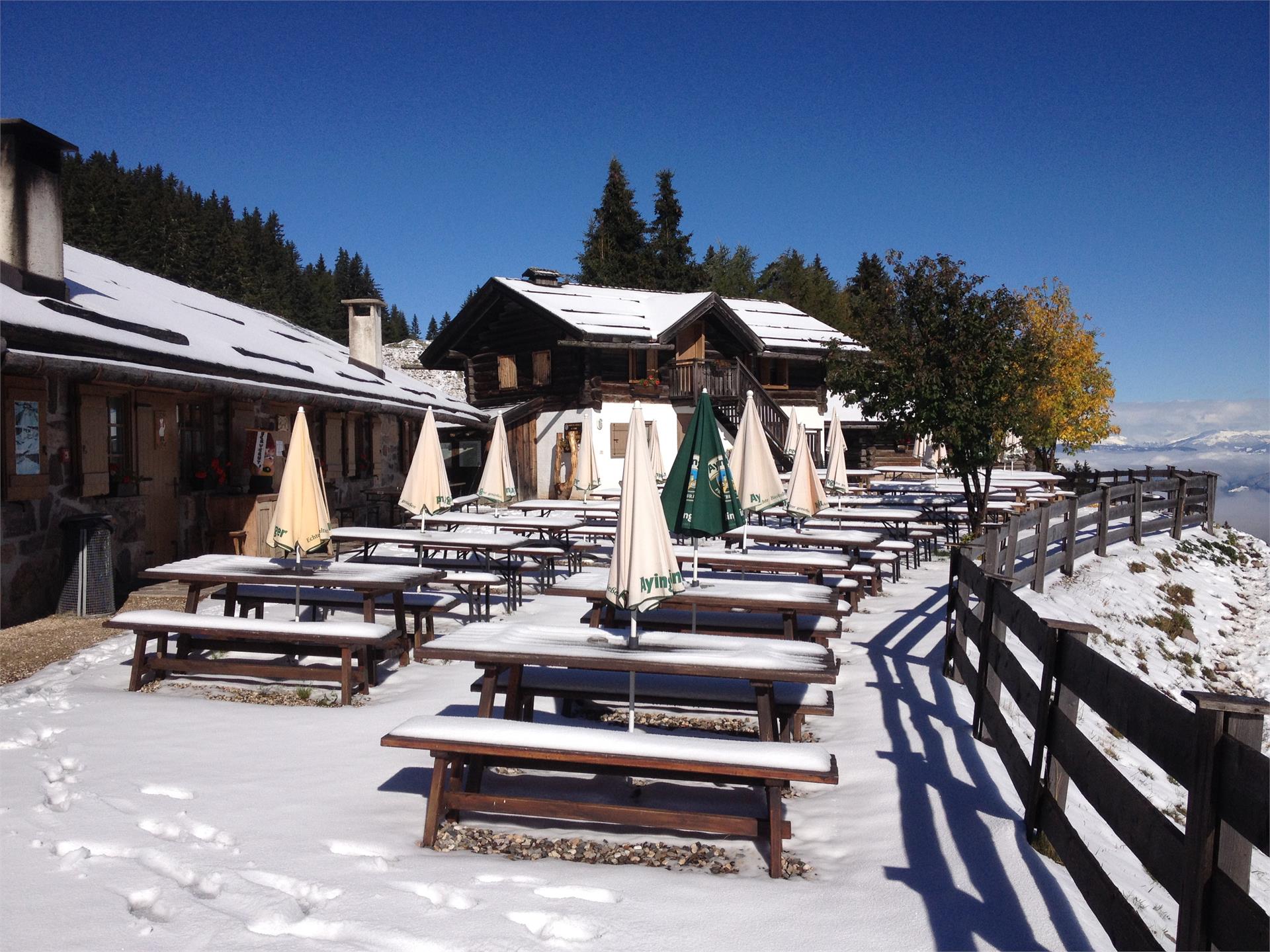 Horn Alm Truden/Trodena 1 suedtirol.info