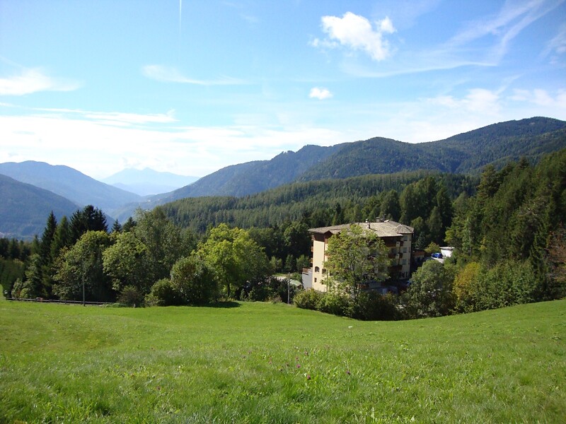 Hotel Waldheim -  - #1 - suedtirol.info