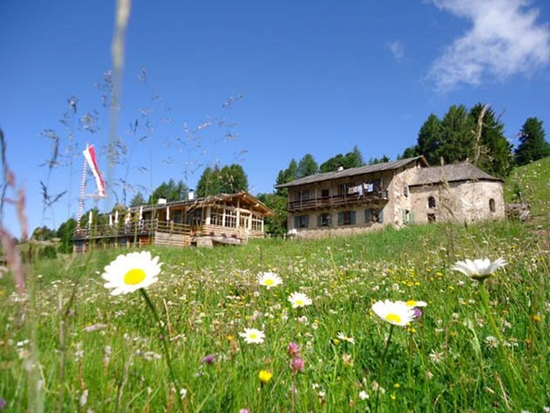 Malga ISI Hütte -  - #1 - suedtirol.info