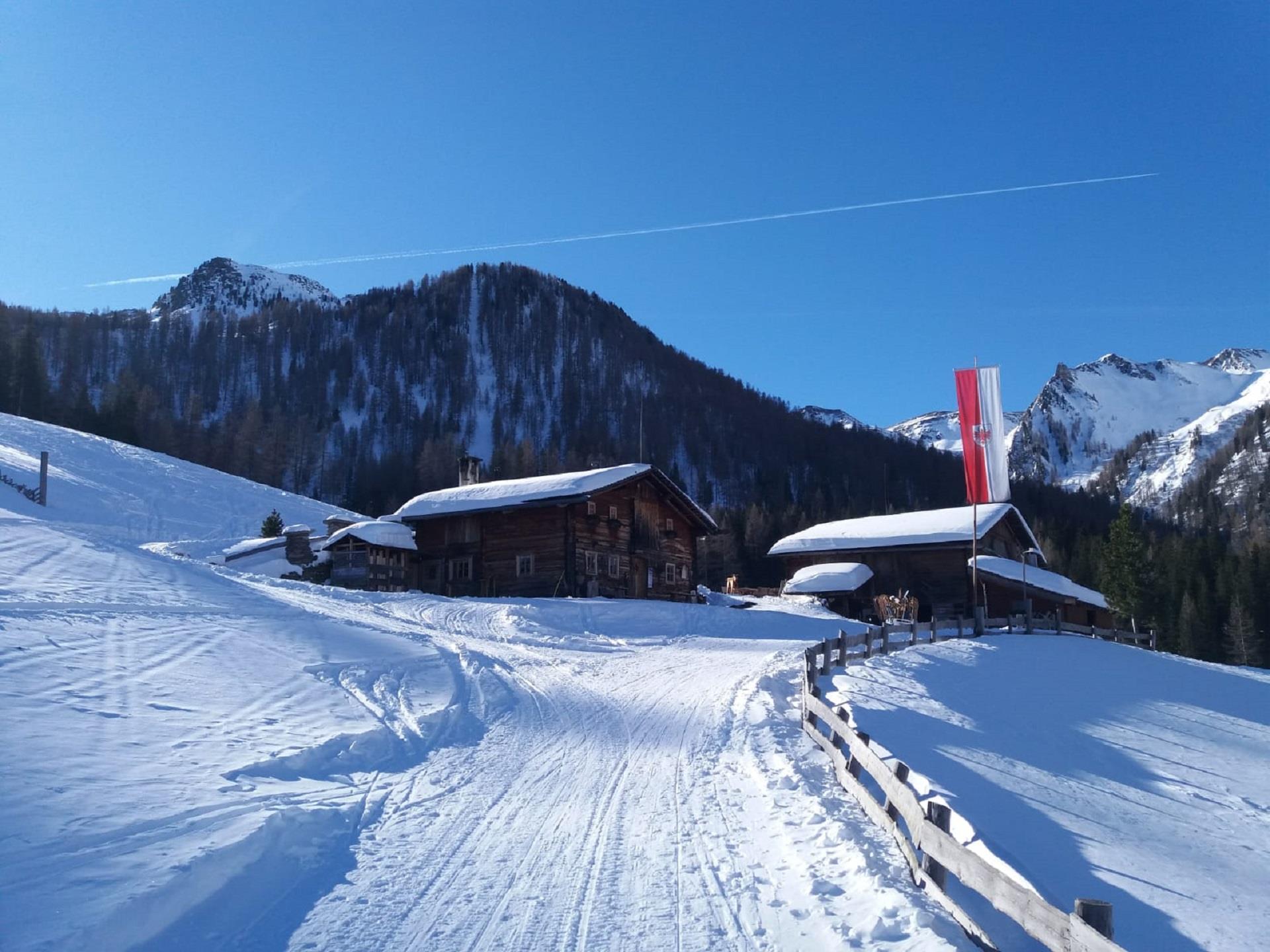 Innerhofer Alm Ahrntal 1 suedtirol.info