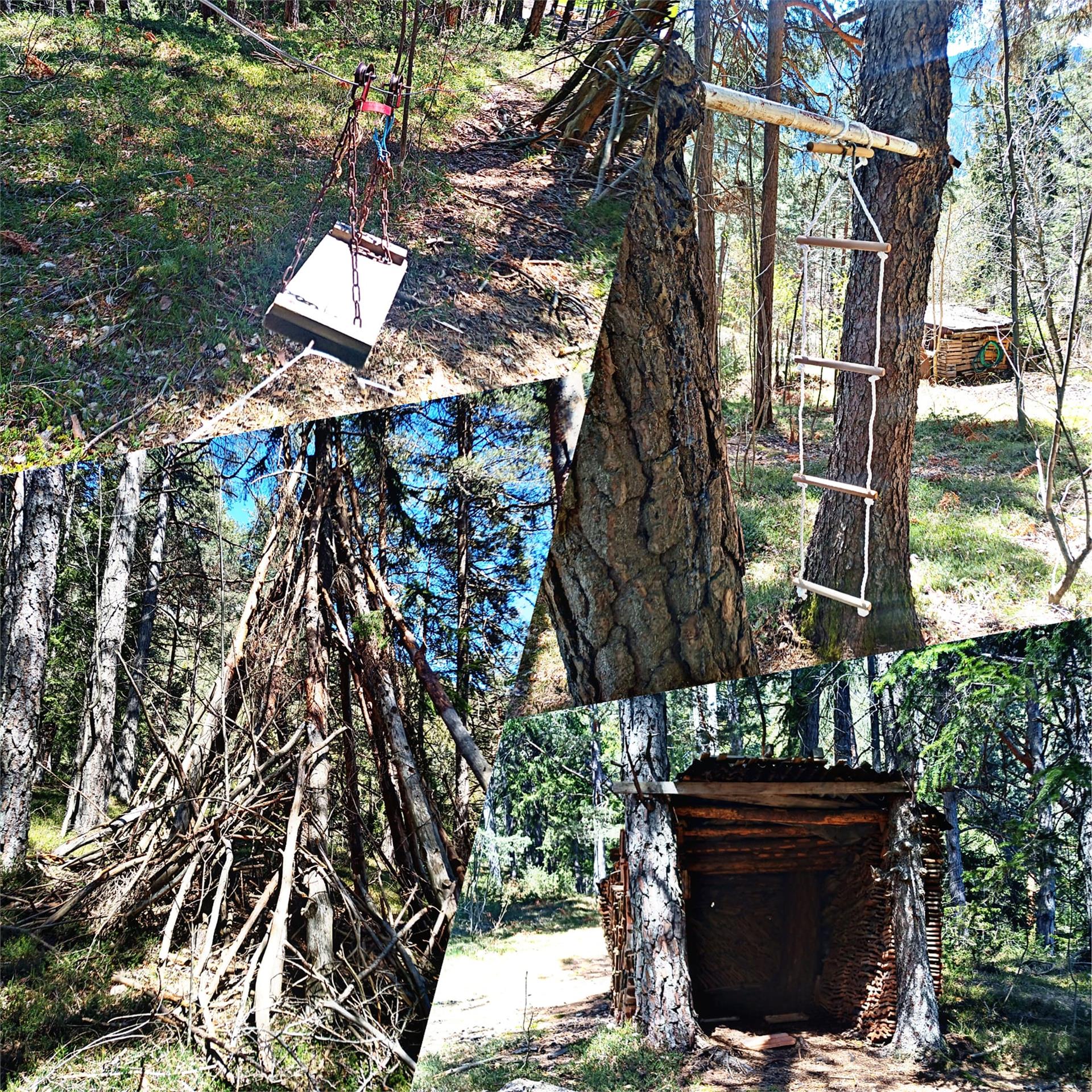 Waldheim Tisens/Tesimo 8 suedtirol.info
