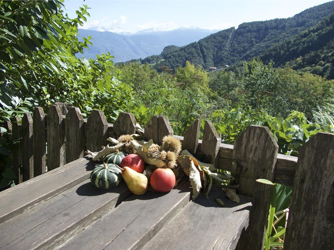Jausenstation Moarhof Eppan an der Weinstaße/Appiano sulla Strada del Vino 1 suedtirol.info