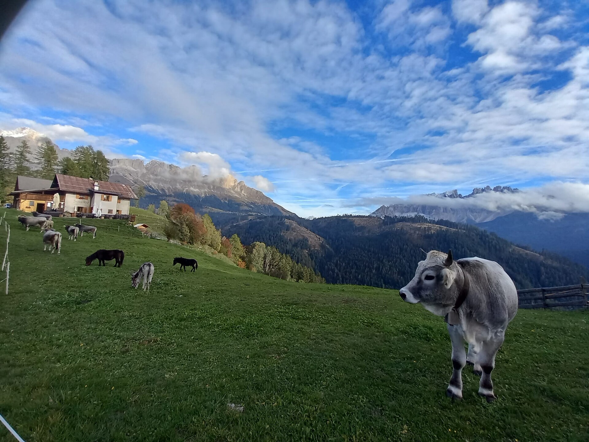 Jocherhof - Dolomites Region Eggental - #4 - suedtirol.info