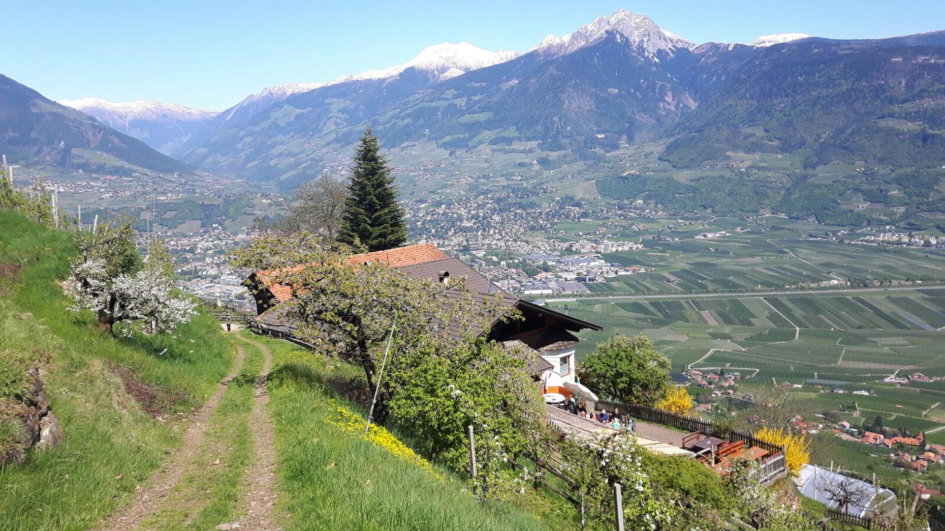 Jausenstation Hoferhof Tscherms/Cermes 3 suedtirol.info