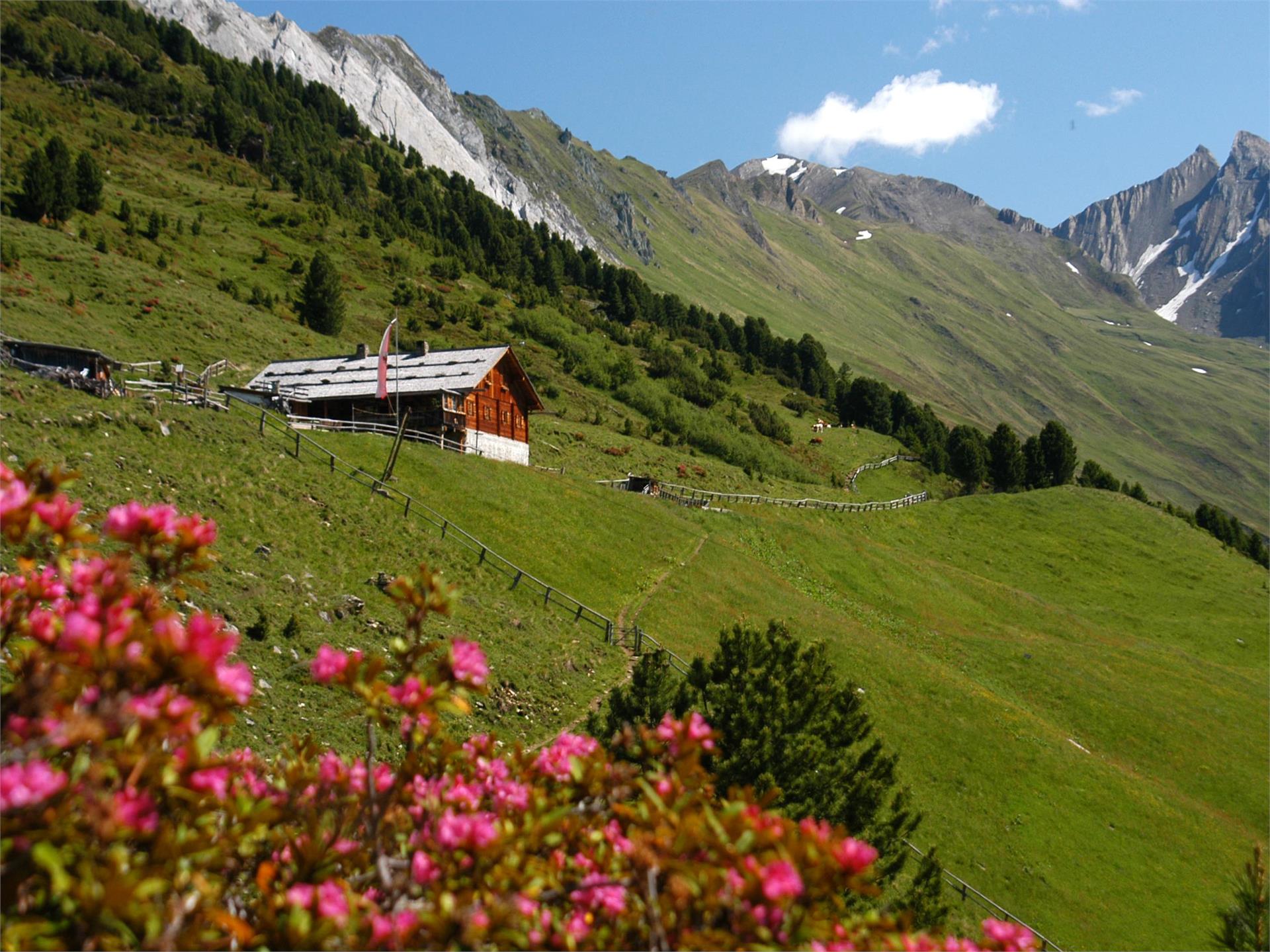 Malga Durra Campo Tures 1 suedtirol.info