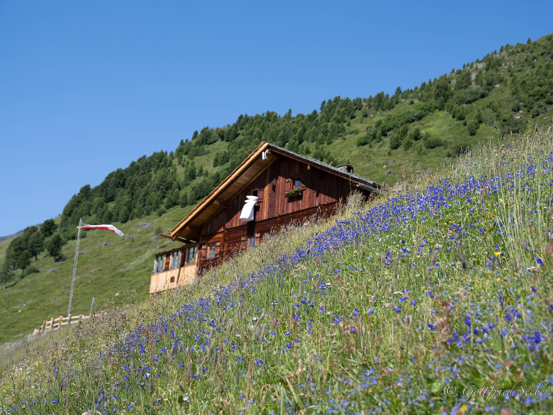 Jausenstation Durra Alm - Ahrntal - #1 - suedtirol.info