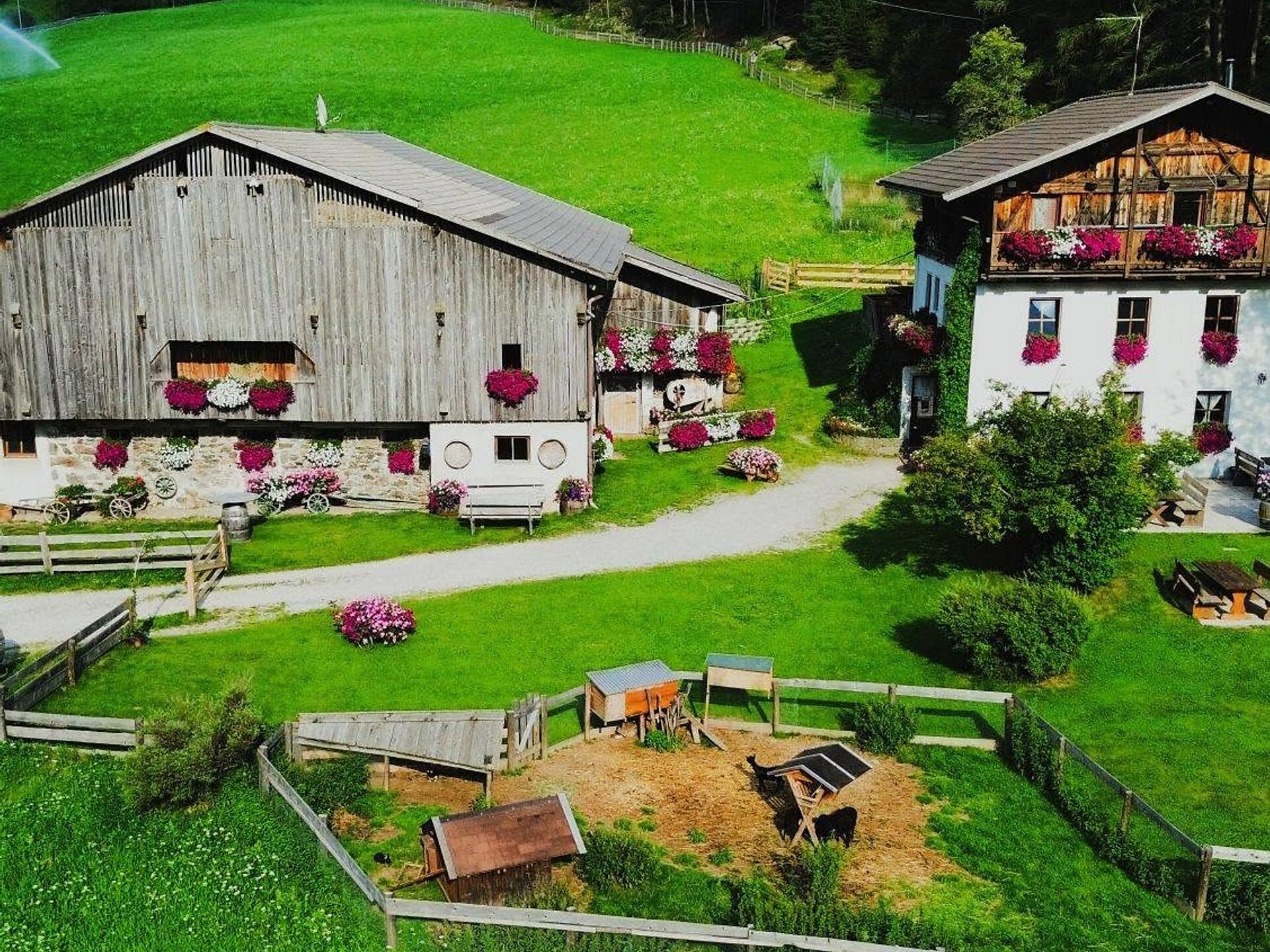 Jausenstation-Pizzeria Santerhof - Bozen und Umgebung - #1 - suedtirol.info
