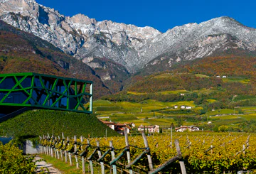 Cantina Tramin