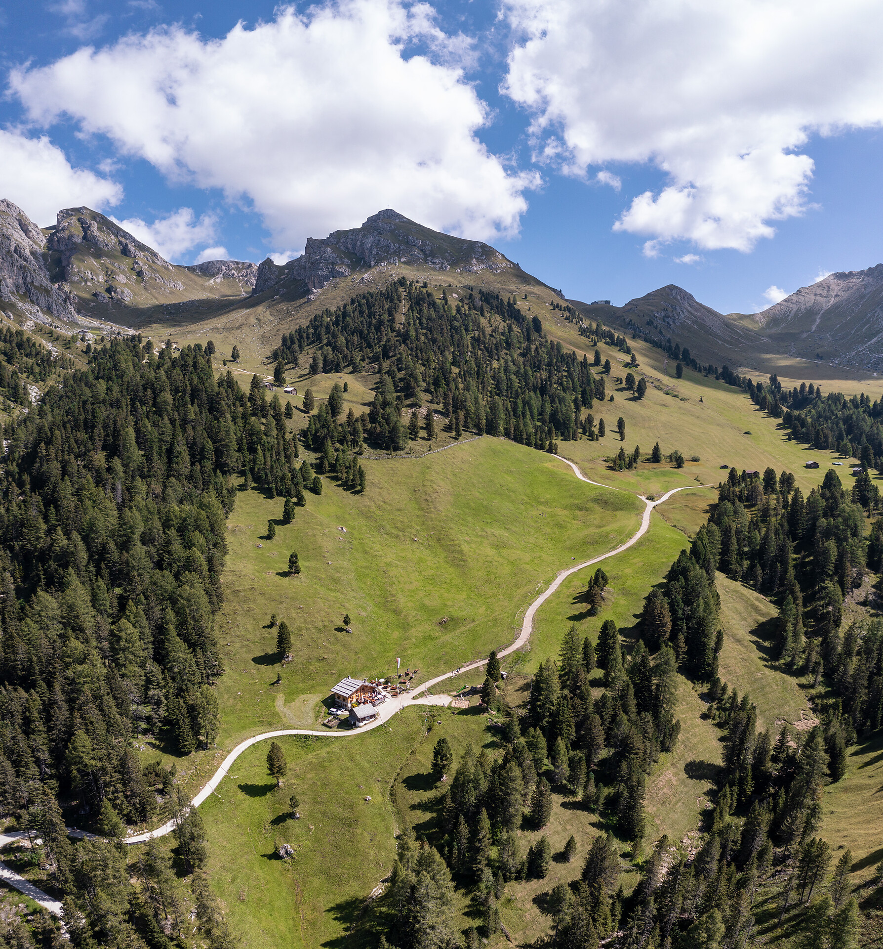 Panorama