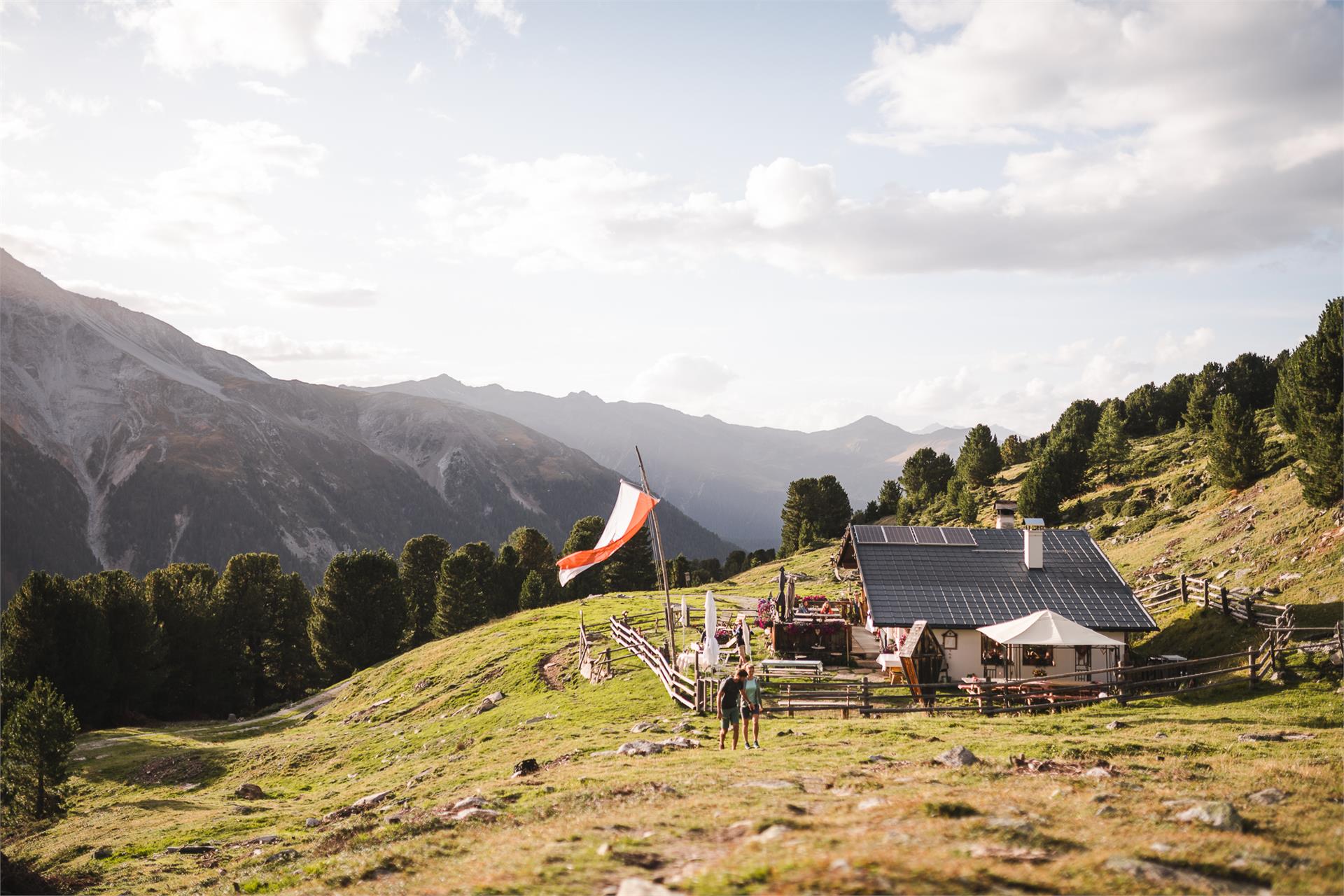 Kälberalm Stilfs 1 suedtirol.info