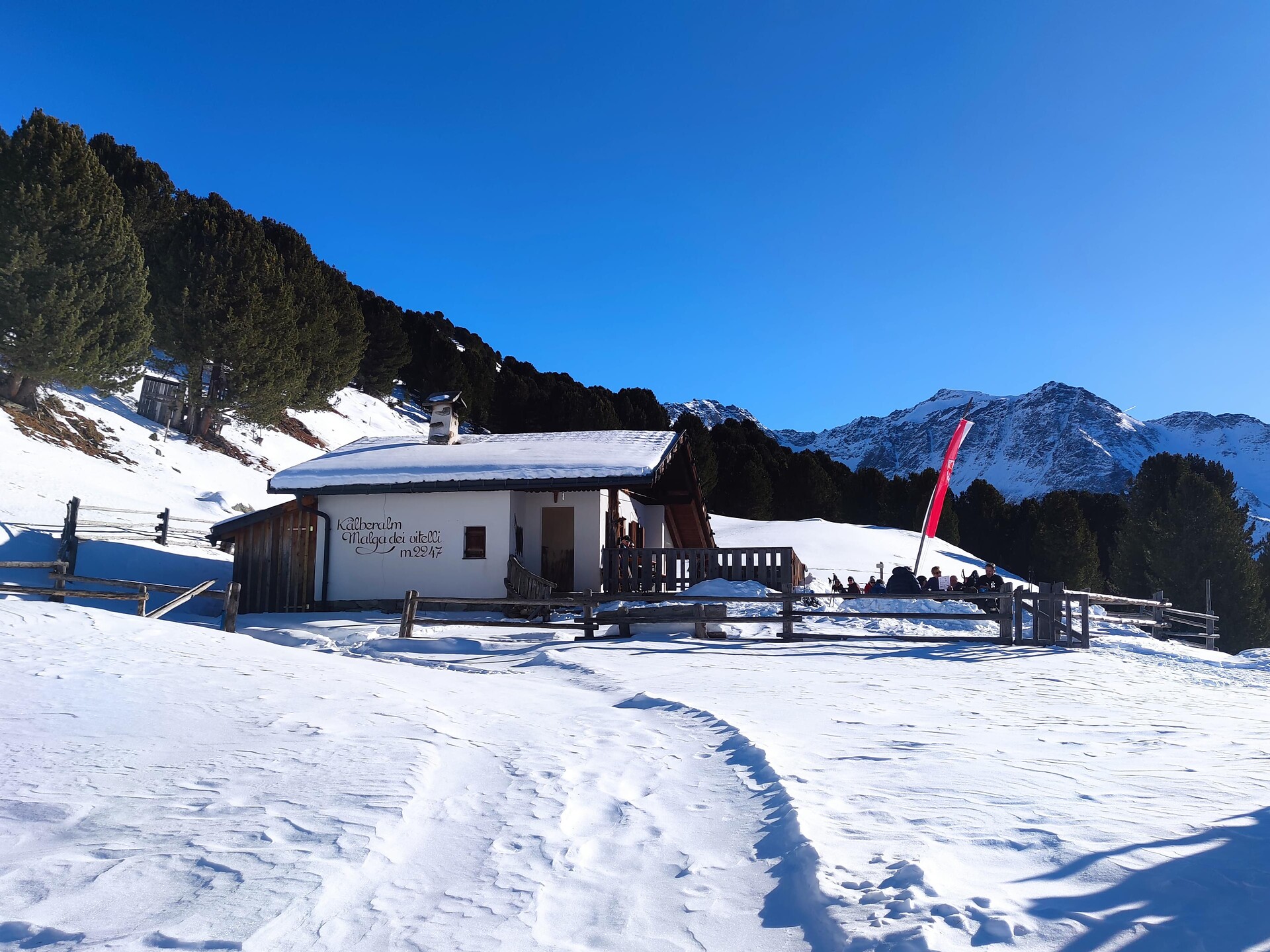 Kälberalm - Vinschgau - #1 - suedtirol.info