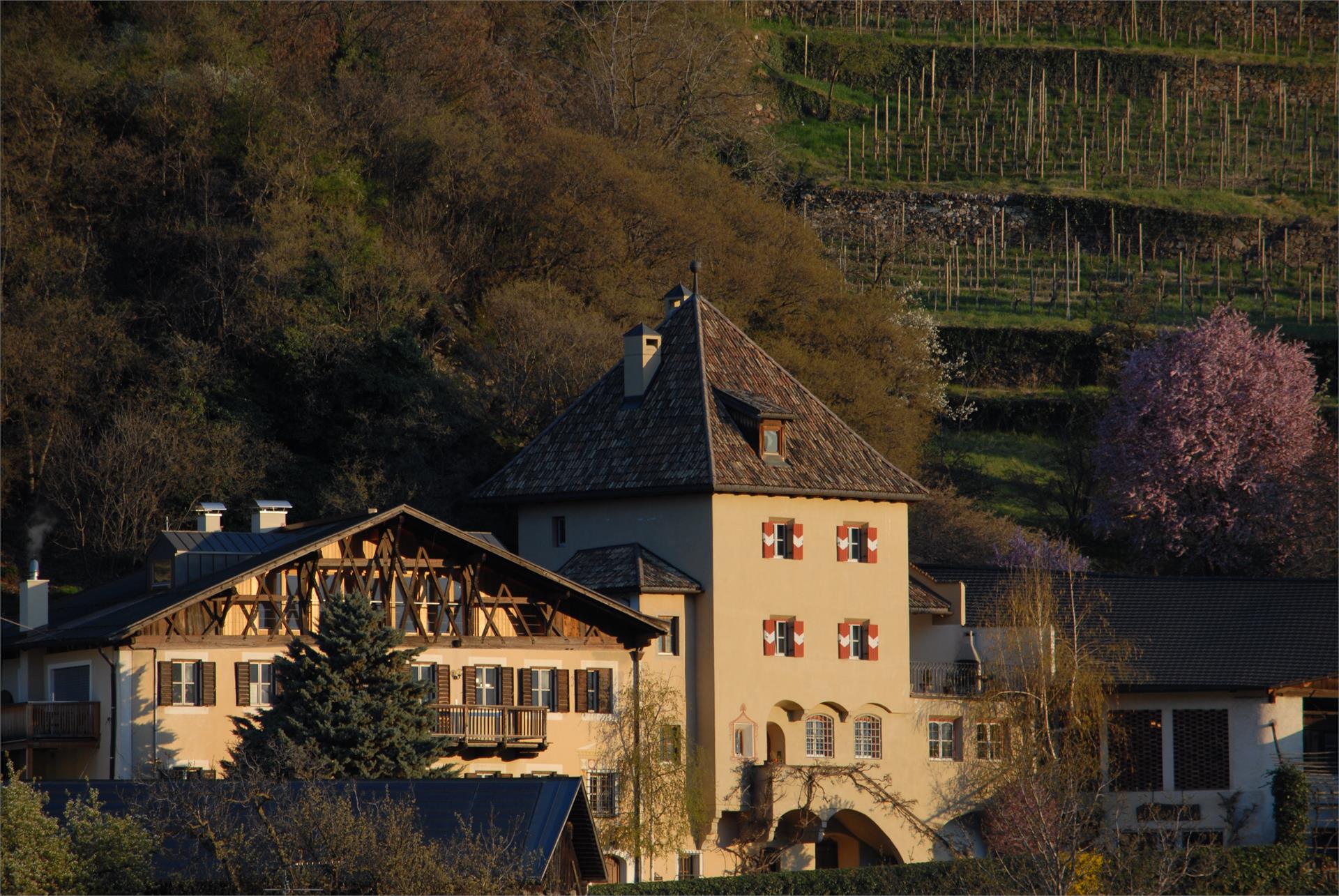 Köfelgut Pohl Martin Kastelbell-Tschars 1 suedtirol.info
