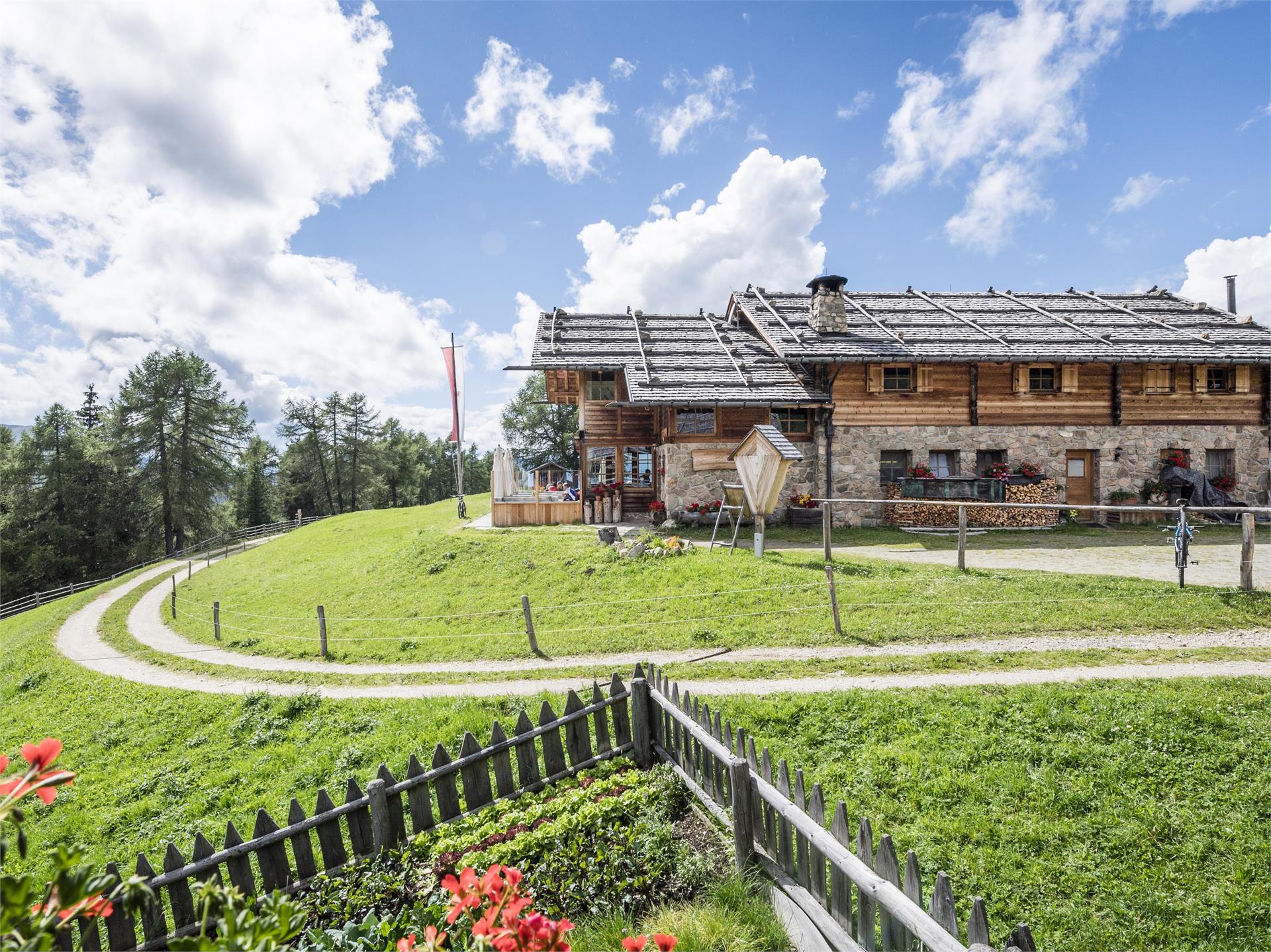Kreuzwiesen Alm Rodeneck/Rodengo 2 suedtirol.info