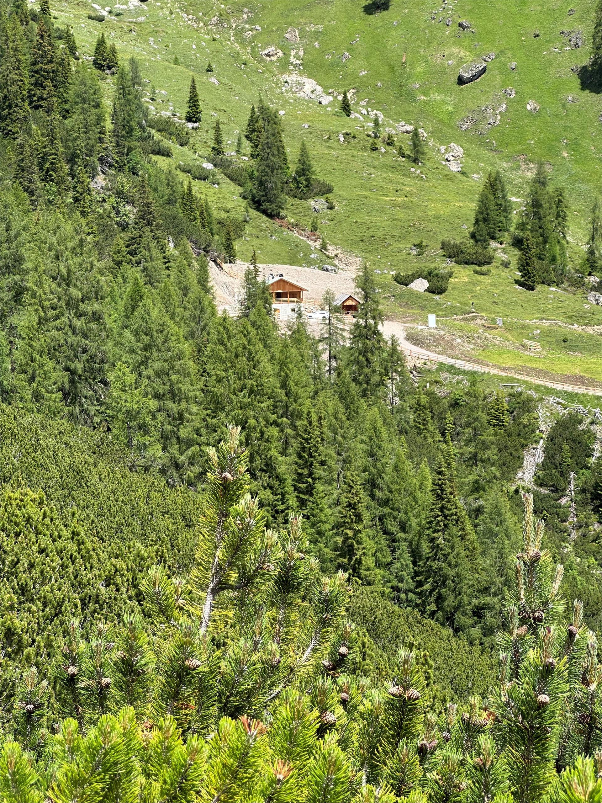 Kaseralm hut Prags/Braies 3 suedtirol.info