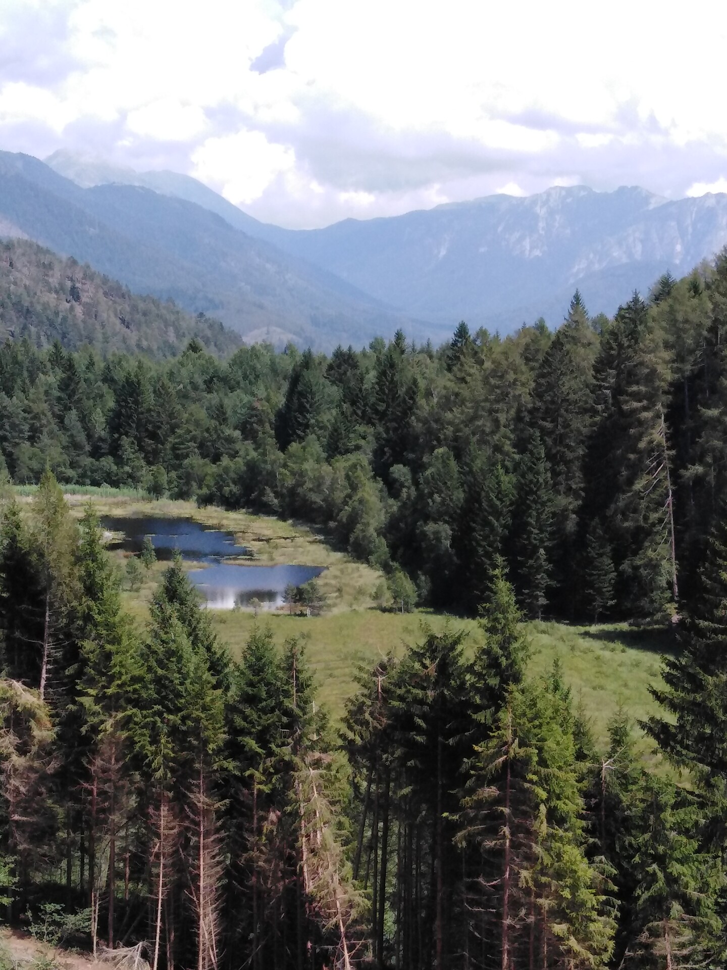 Biotope Langes Moos
