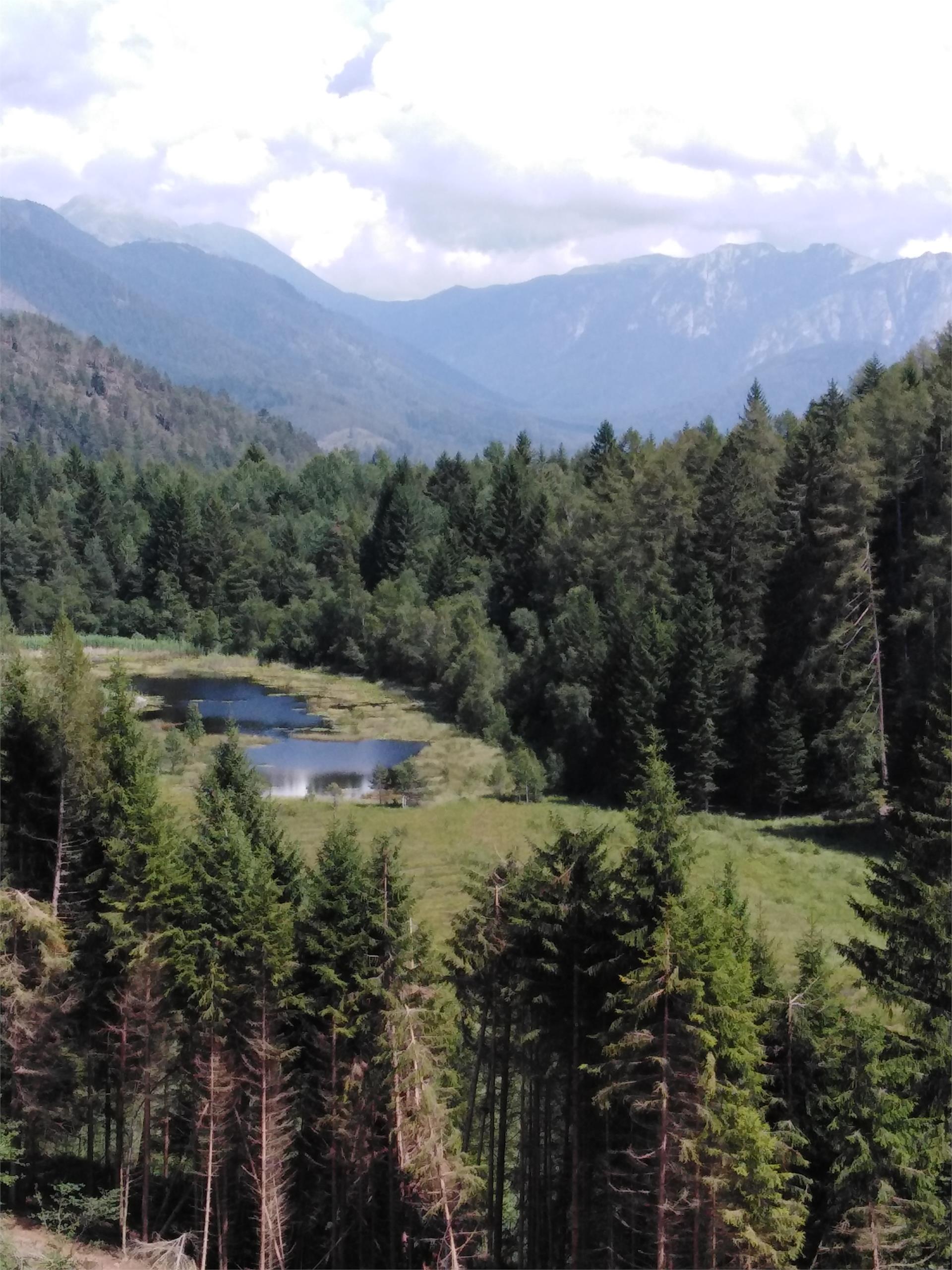 Krabes Alm Altrei/Anterivo 3 suedtirol.info
