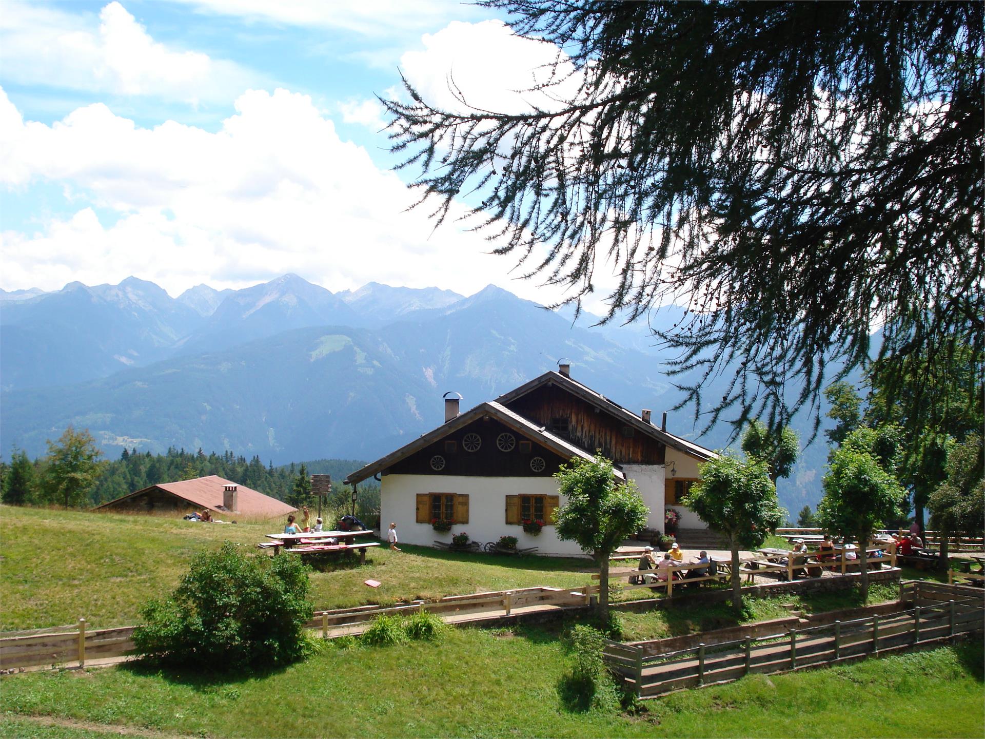Krabes Alm Altrei/Anterivo 1 suedtirol.info