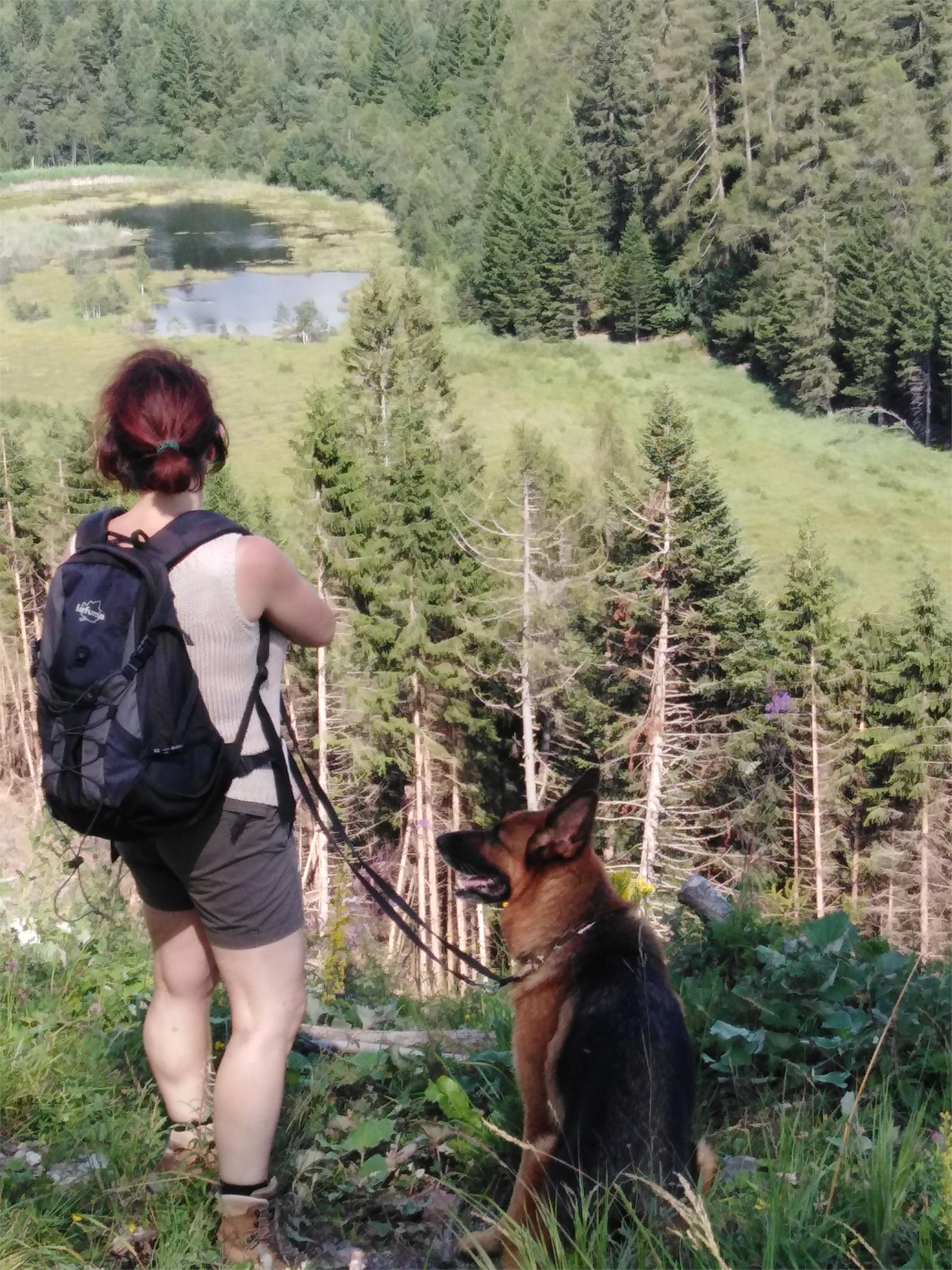 Krabes Alm Altrei/Anterivo 4 suedtirol.info