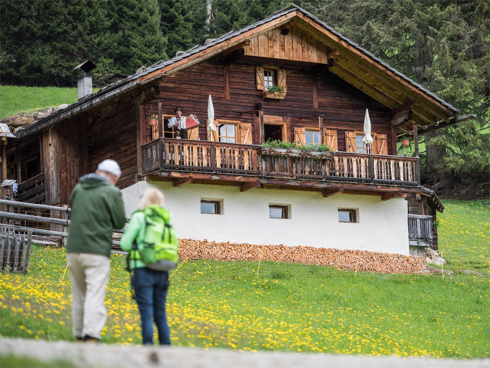 Kradorfer Alm 1704 m Gsies/Valle di Casies 1 suedtirol.info