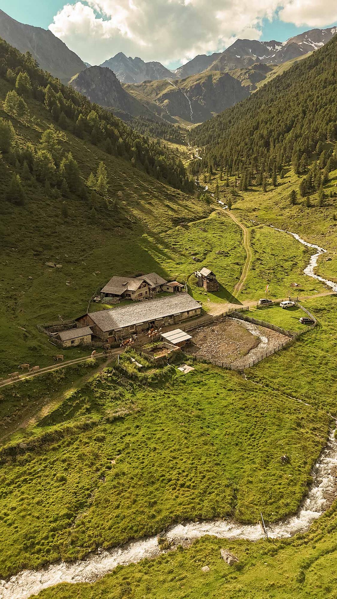 Kortscher Alm Alp