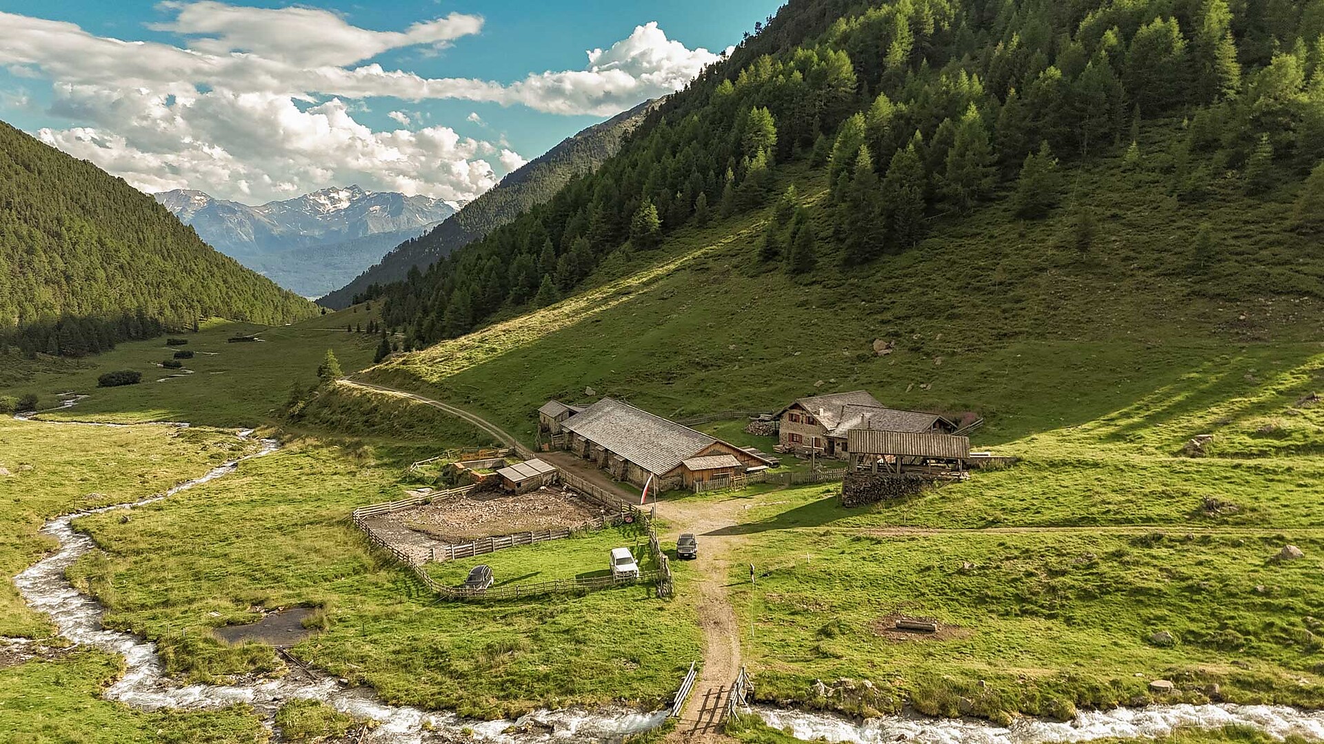 Kortscher Alm Alp