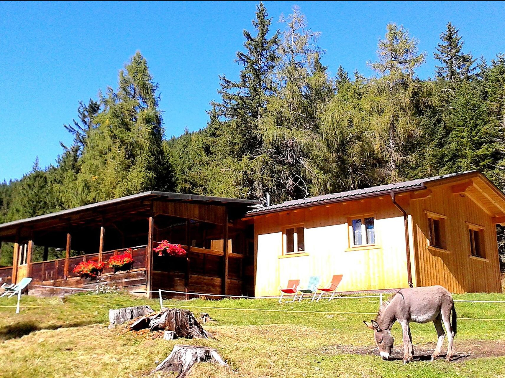 Lachwiesenhütte - Dolomitenregion 3 Zinnen - #1 - suedtirol.info
