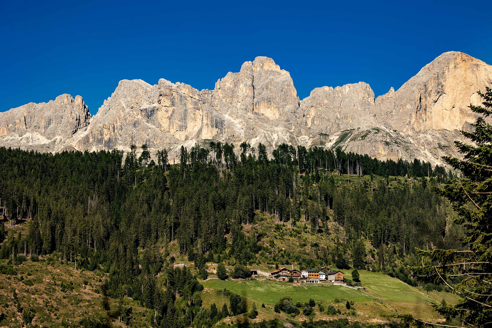 Ladritscher Hof - Dolomitenregion Eggental - #4 - suedtirol.info