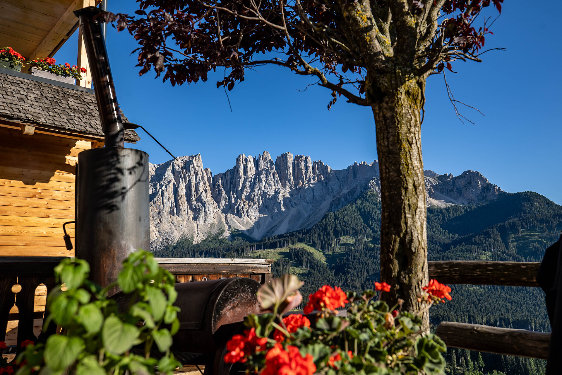 Ladritscher Hof - Dolomitenregion Eggental - #2 - suedtirol.info