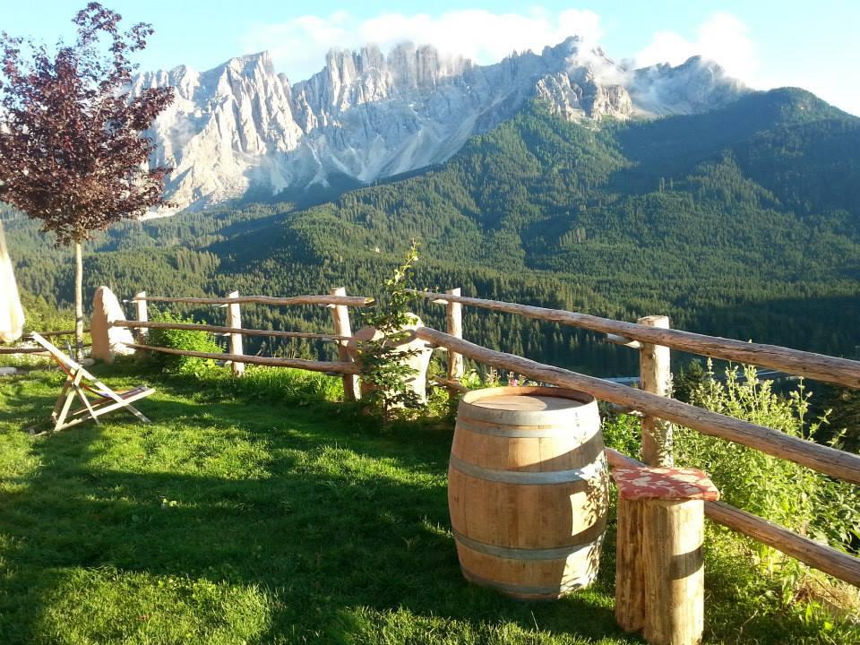 Maso Ladritscher Nova Levante 1 suedtirol.info
