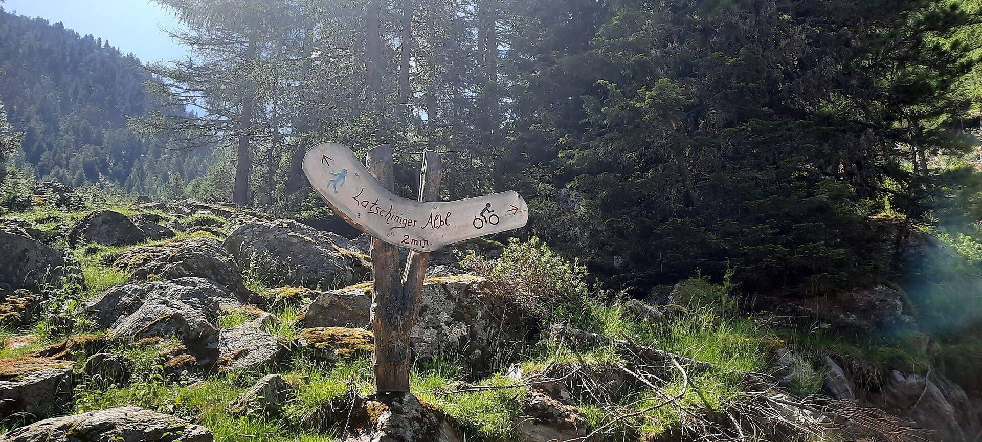 Latschiniger Alm